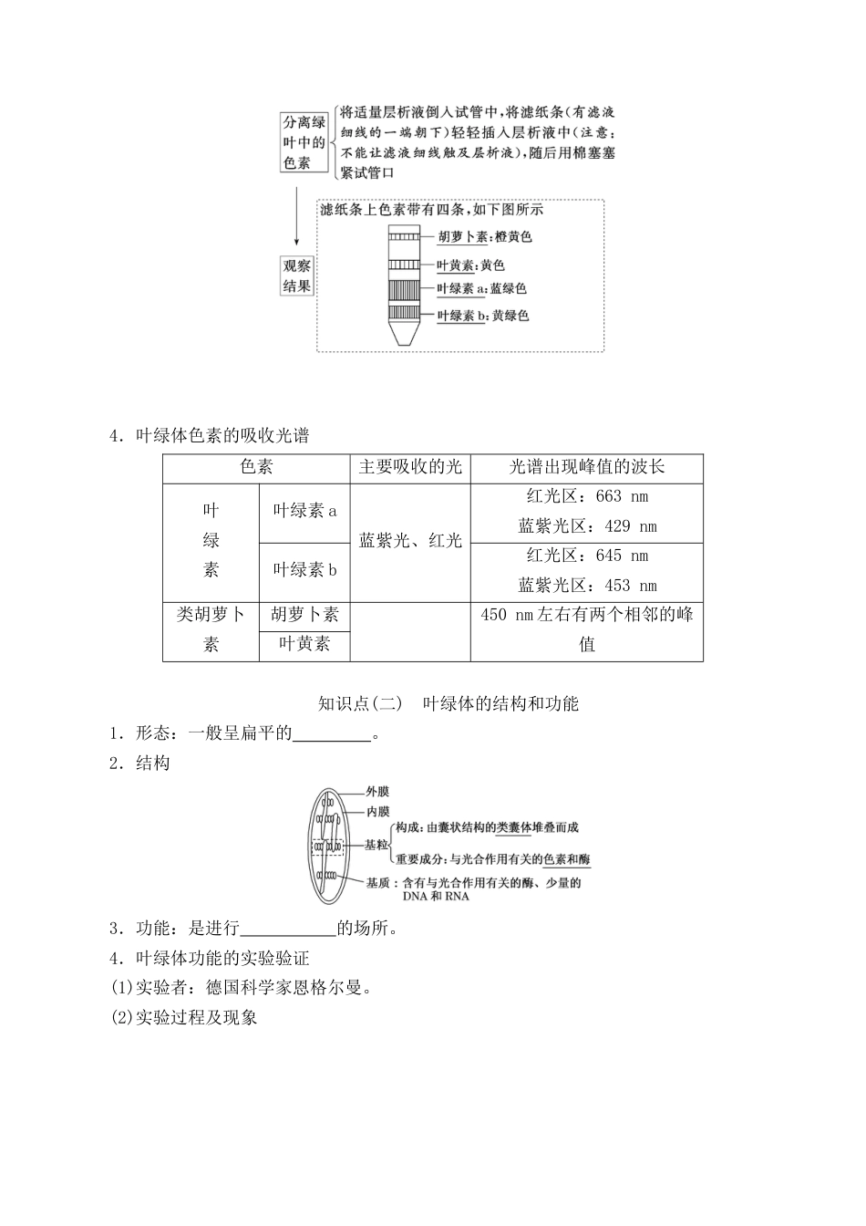 高中生物必修1 5.4.1 捕获光能的色素和结构-2022-2023学年高一生物上学期课后培优分级练（2019人教版必修1）（原卷版）.docx