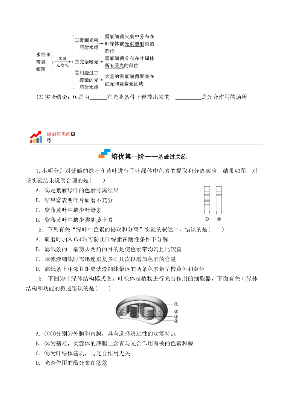 高中生物必修1 5.4.1 捕获光能的色素和结构-2022-2023学年高一生物上学期课后培优分级练（2019人教版必修1）（原卷版）.docx