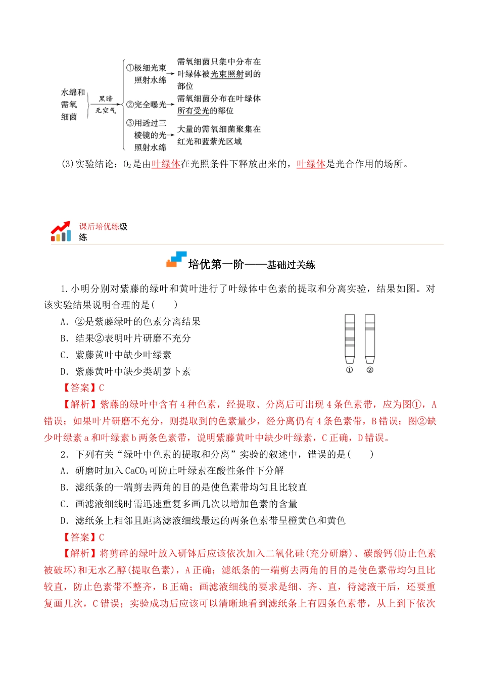 高中生物必修1 5.4.1 捕获光能的色素和结构-2022-2023学年高一生物上学期课后培优分级练（2019人教版必修1）（解析版）.docx