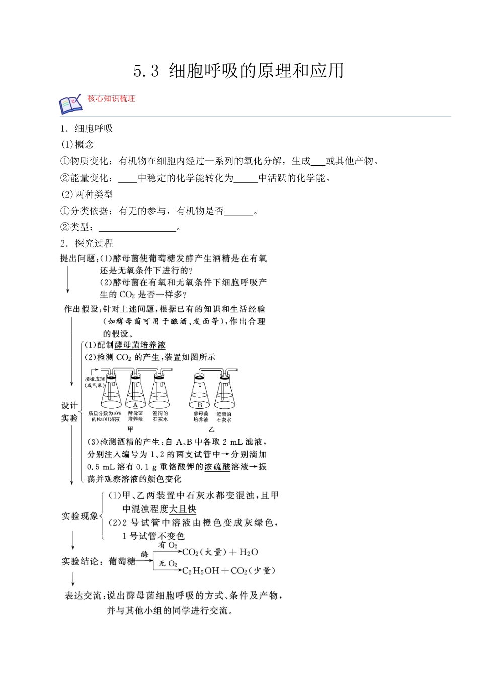 高中生物必修1 5.3 细胞呼吸的原理和应用- 2022-2023学年高一生物上学期课后培优分级练（2019人教版必修1）（原卷版）.docx