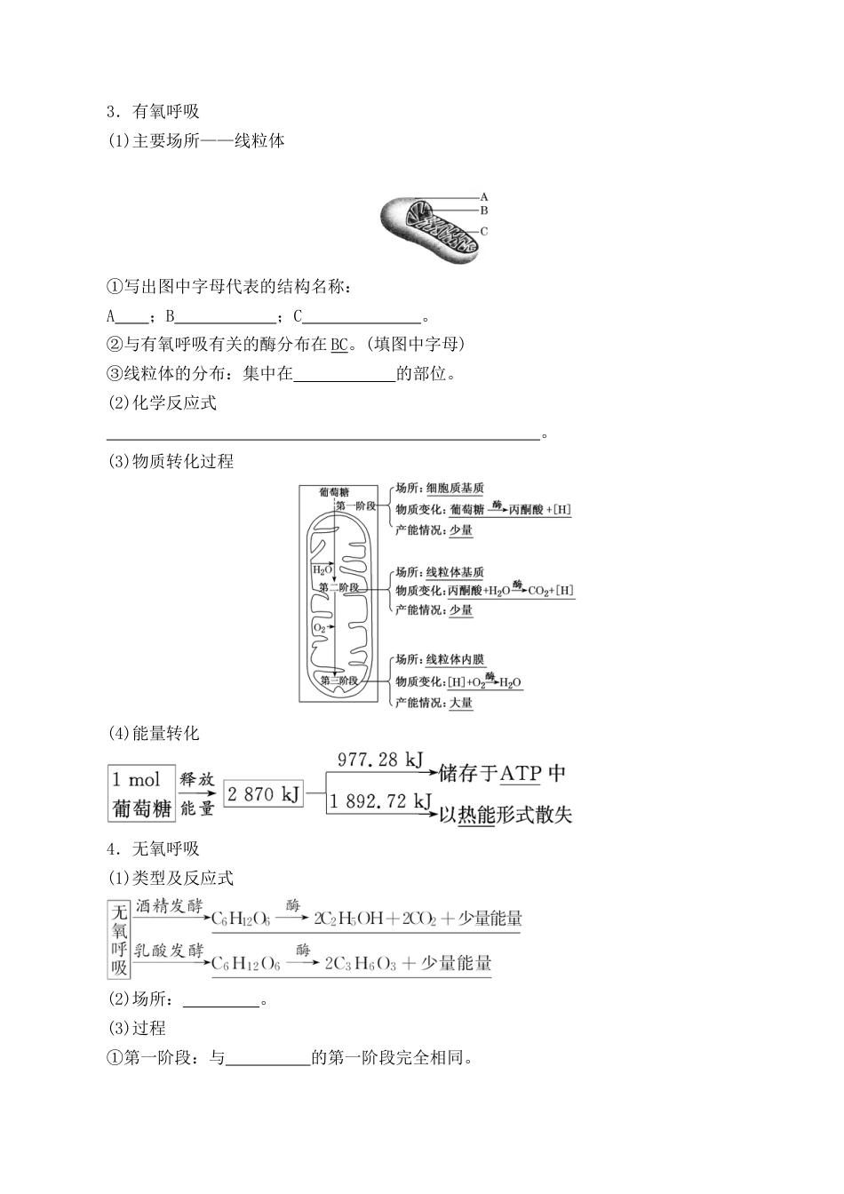 高中生物必修1 5.3 细胞呼吸的原理和应用- 2022-2023学年高一生物上学期课后培优分级练（2019人教版必修1）（原卷版）.docx