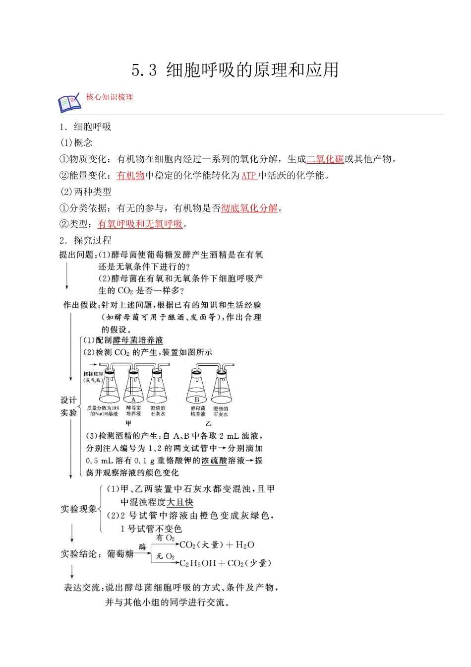 高中生物必修1 5.3 细胞呼吸的原理和应用- 2022-2023学年高一生物上学期课后培优分级练（2019人教版必修1）（解析版）.docx