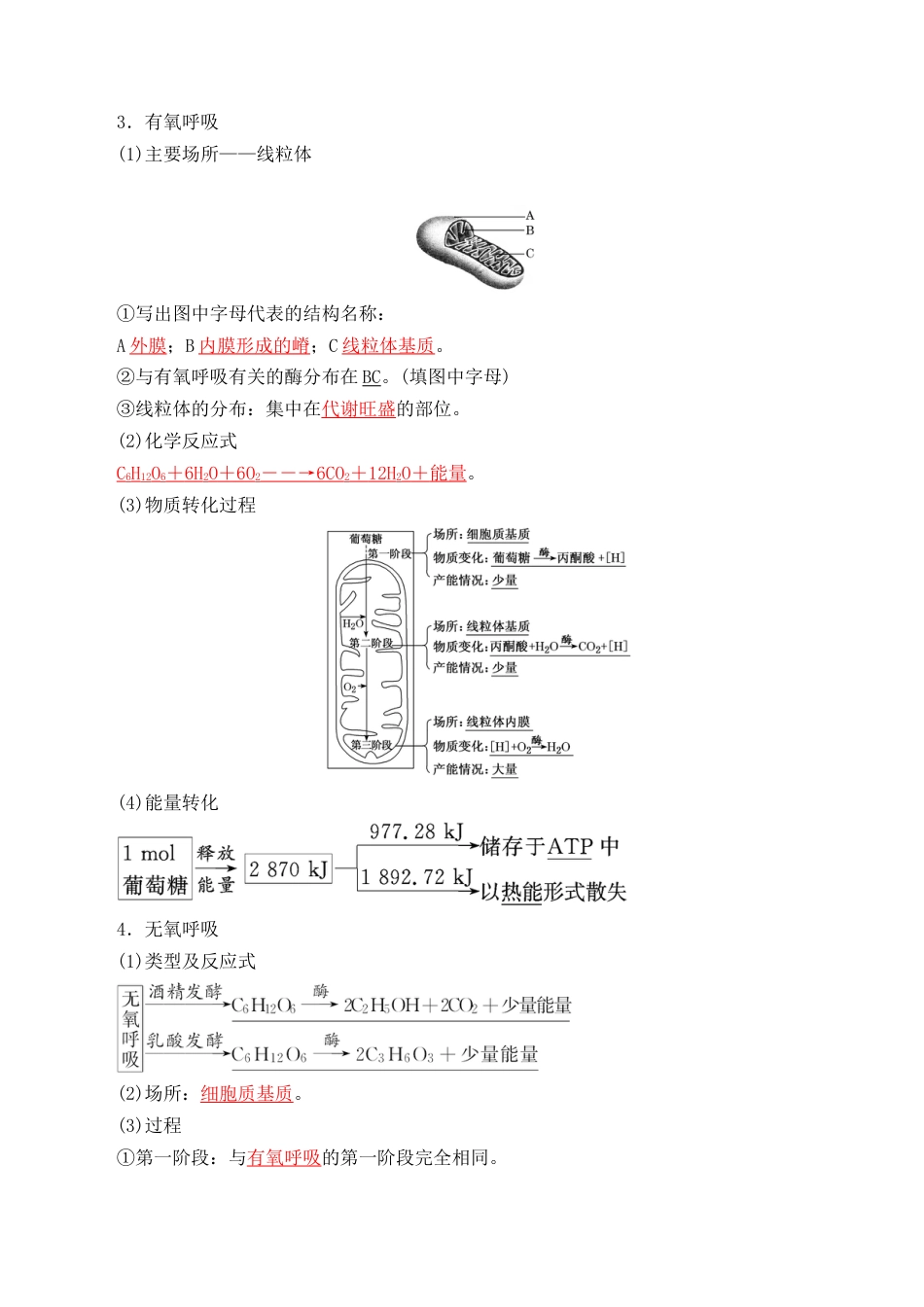 高中生物必修1 5.3 细胞呼吸的原理和应用- 2022-2023学年高一生物上学期课后培优分级练（2019人教版必修1）（解析版）.docx