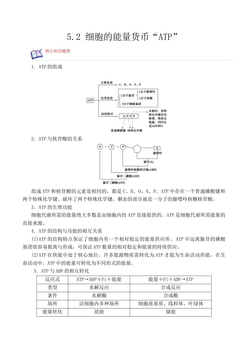 高中生物必修1 5.2 细胞的能量货币“ATP” - 2022-2023学年高一生物上学期课后培优分级练（2019人教版必修1）（解析版）.docx