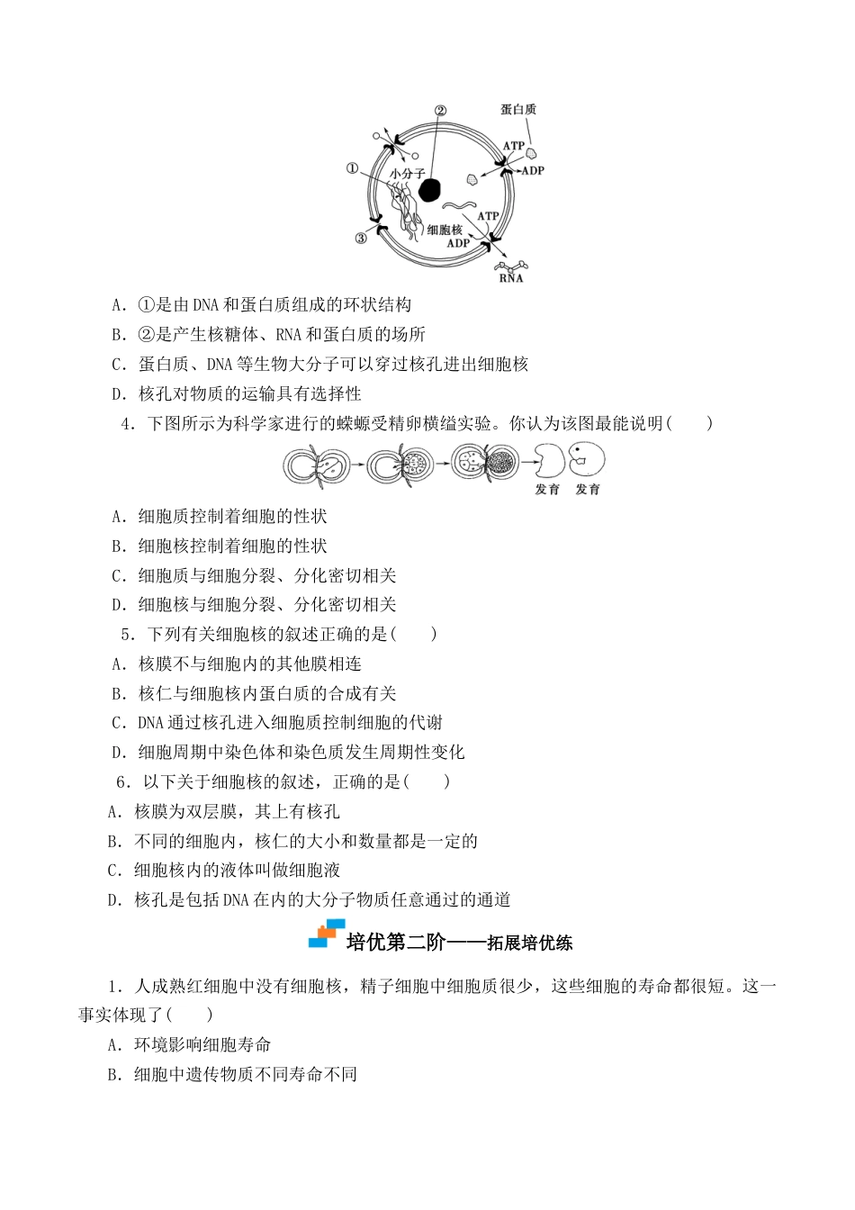 高中生物必修1 3.3 细胞核的结构和功能-2022-2023学年高一生物上学期课后培优分级练（2019人教版必修1）（原卷版）.docx