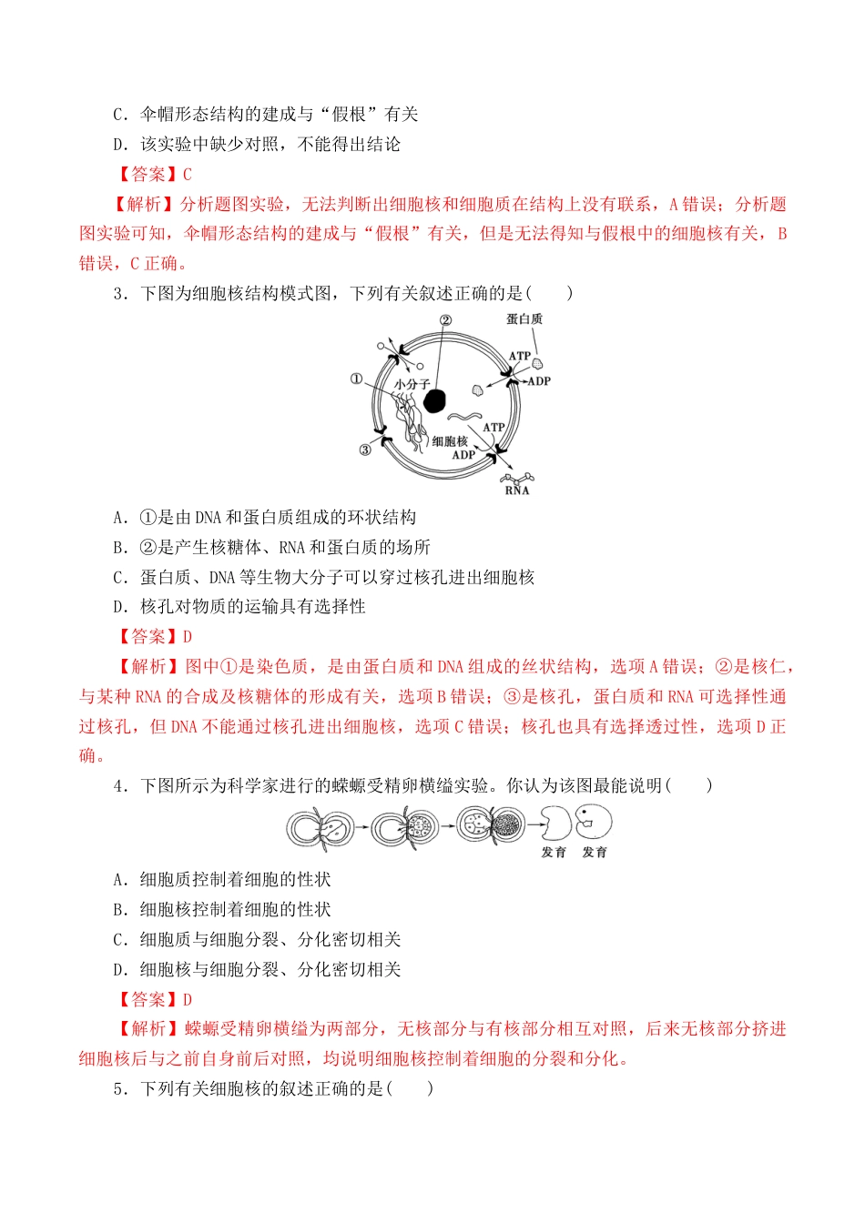 高中生物必修1 3.3 细胞核的结构和功能-2022-2023学年高一生物上学期课后培优分级练（2019人教版必修1）（解析版）.docx