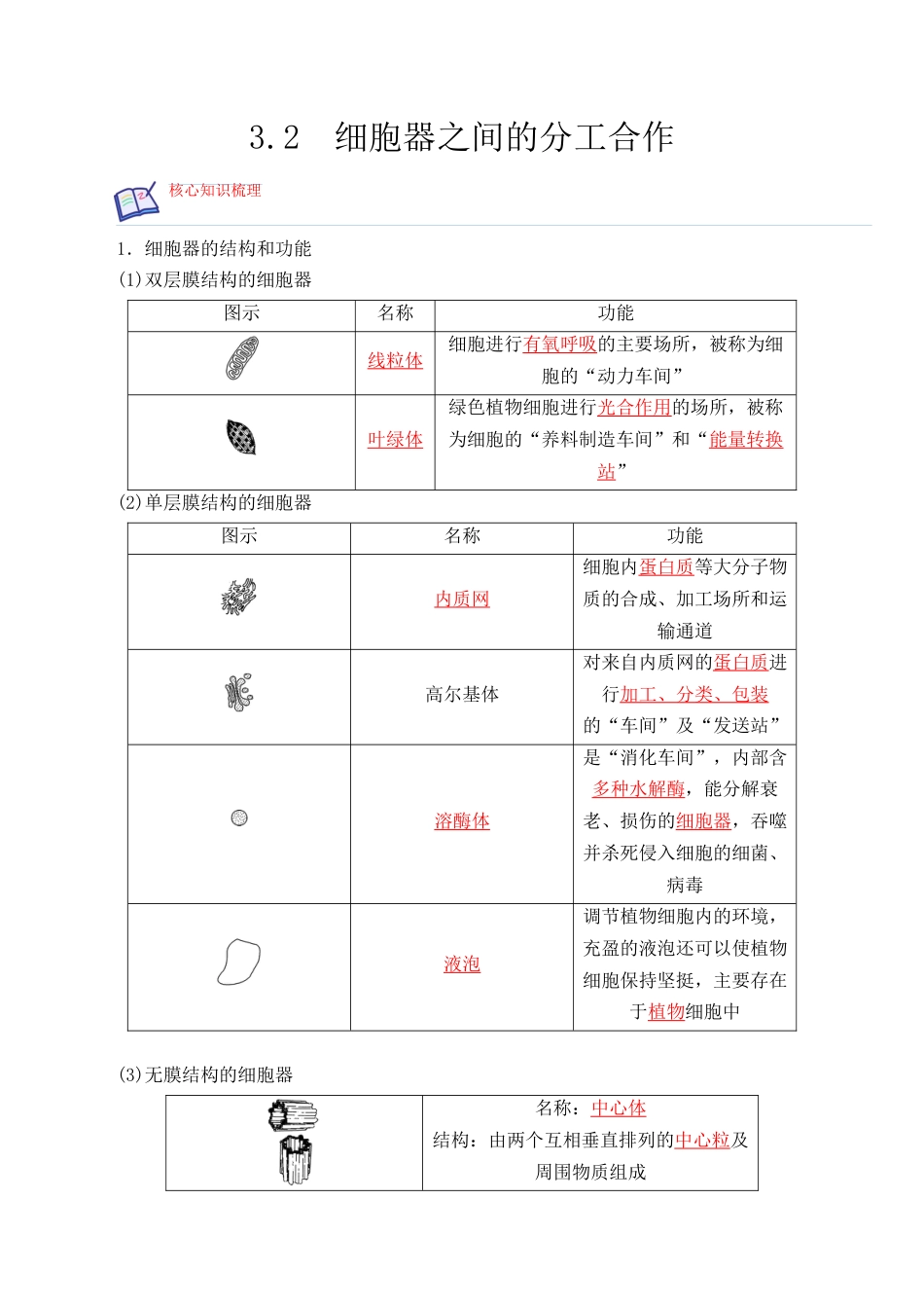 高中生物必修1 3.2 细胞器之间的分工合作- 2022-2023学年高一生物上学期课后培优分级练（2019人教版必修1）（解析版）.docx