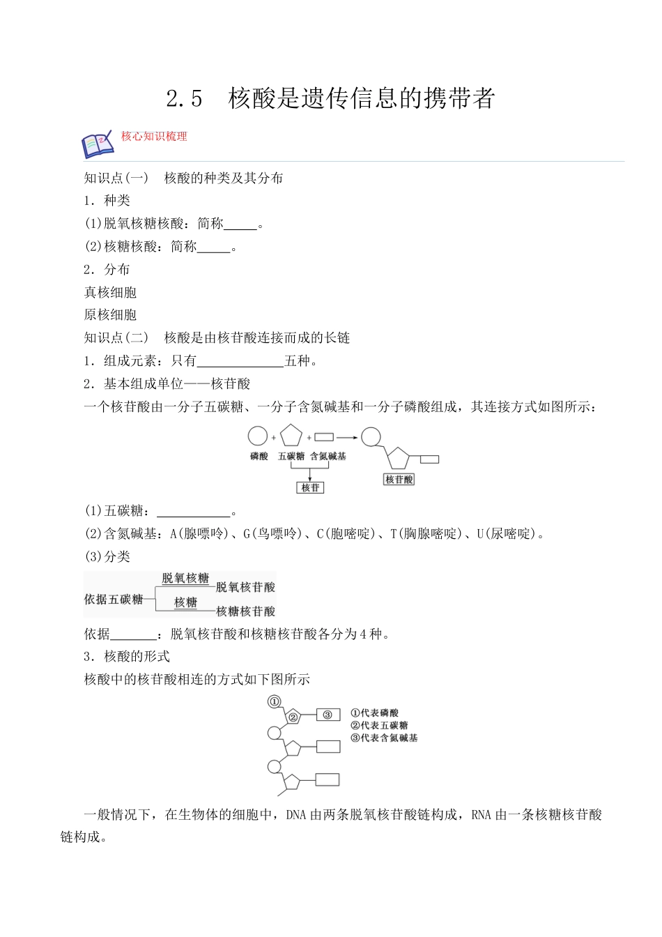 高中生物必修1 2.5 核酸是遗传信息的携带者 -2022-2023学年高一生物上学期课后培优分级练（2019人教版必修1）（原卷版）.docx