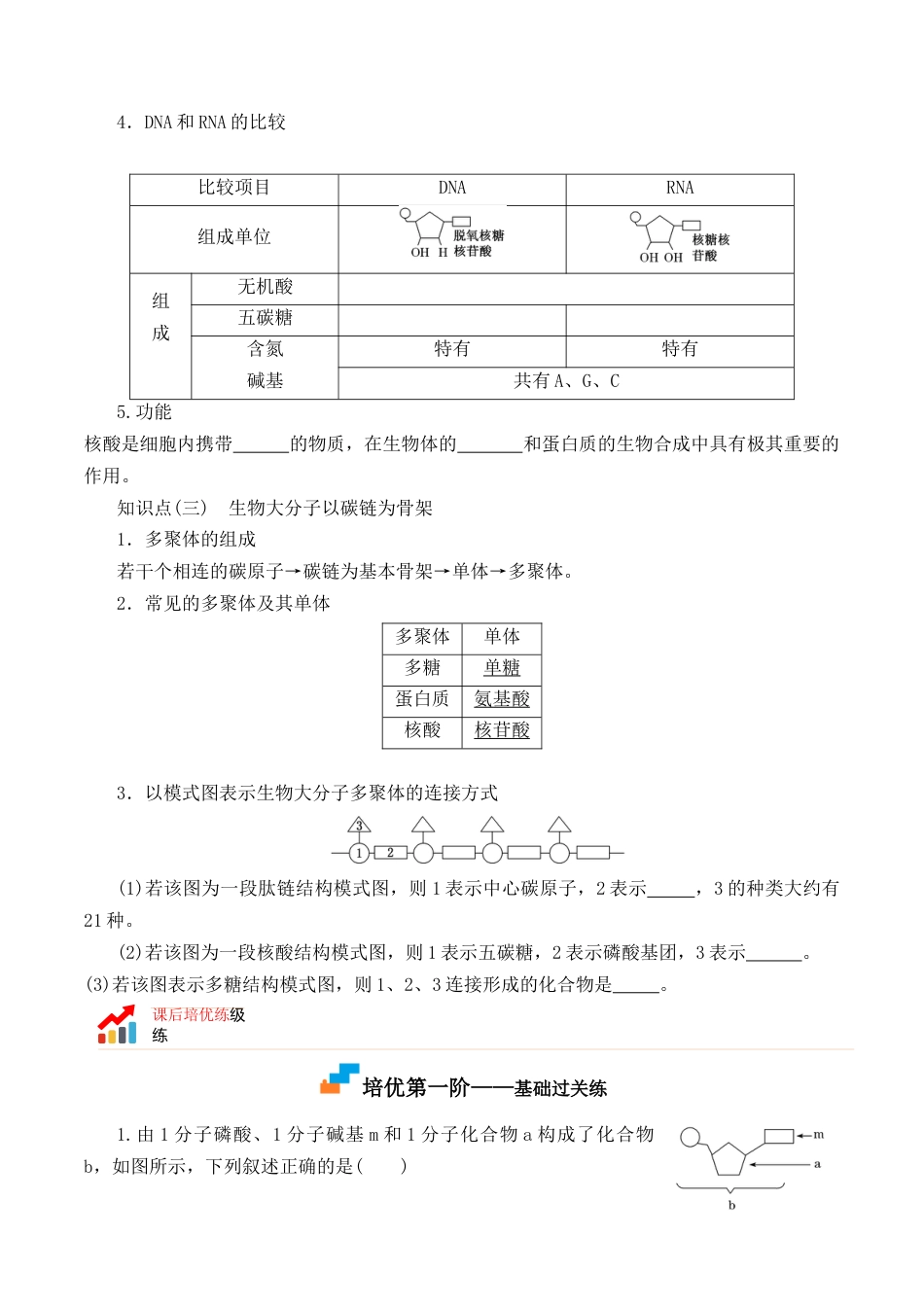 高中生物必修1 2.5 核酸是遗传信息的携带者 -2022-2023学年高一生物上学期课后培优分级练（2019人教版必修1）（原卷版）.docx