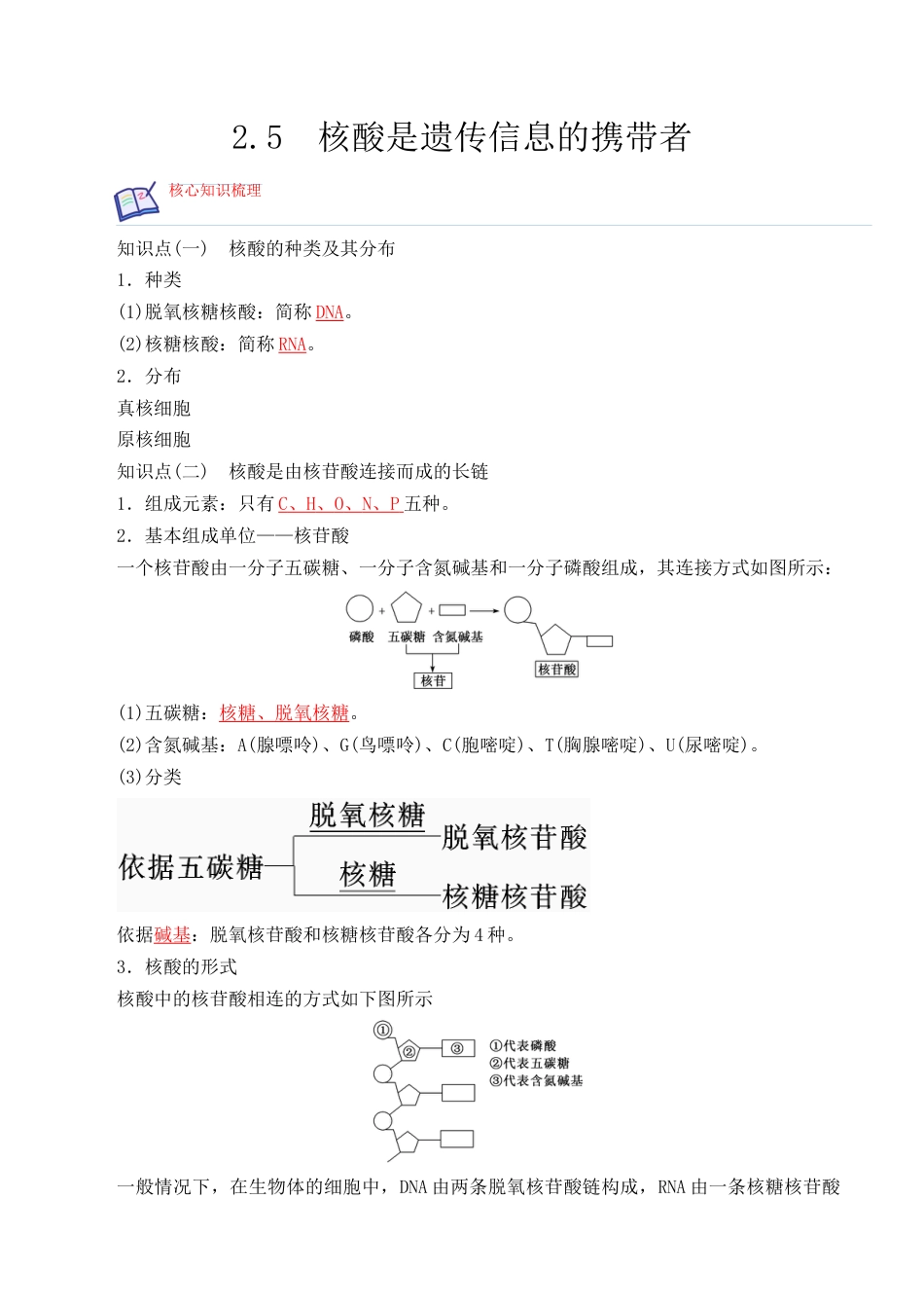 高中生物必修1 2.5 核酸是遗传信息的携带者- 2022-2023学年高一生物上学期课后培优分级练（2019人教版必修1）（解析版）.docx