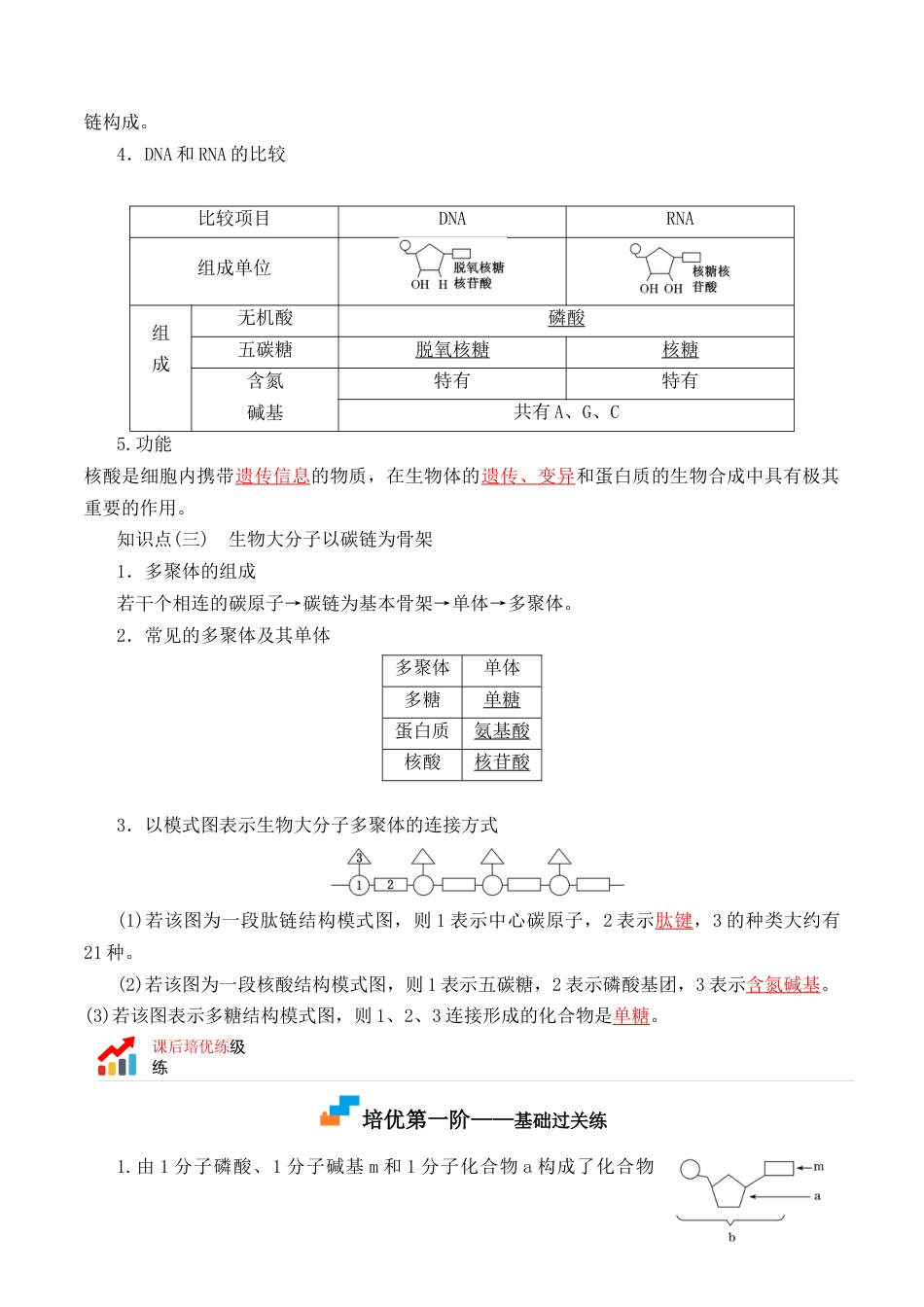 高中生物必修1 2.5 核酸是遗传信息的携带者- 2022-2023学年高一生物上学期课后培优分级练（2019人教版必修1）（解析版）.docx