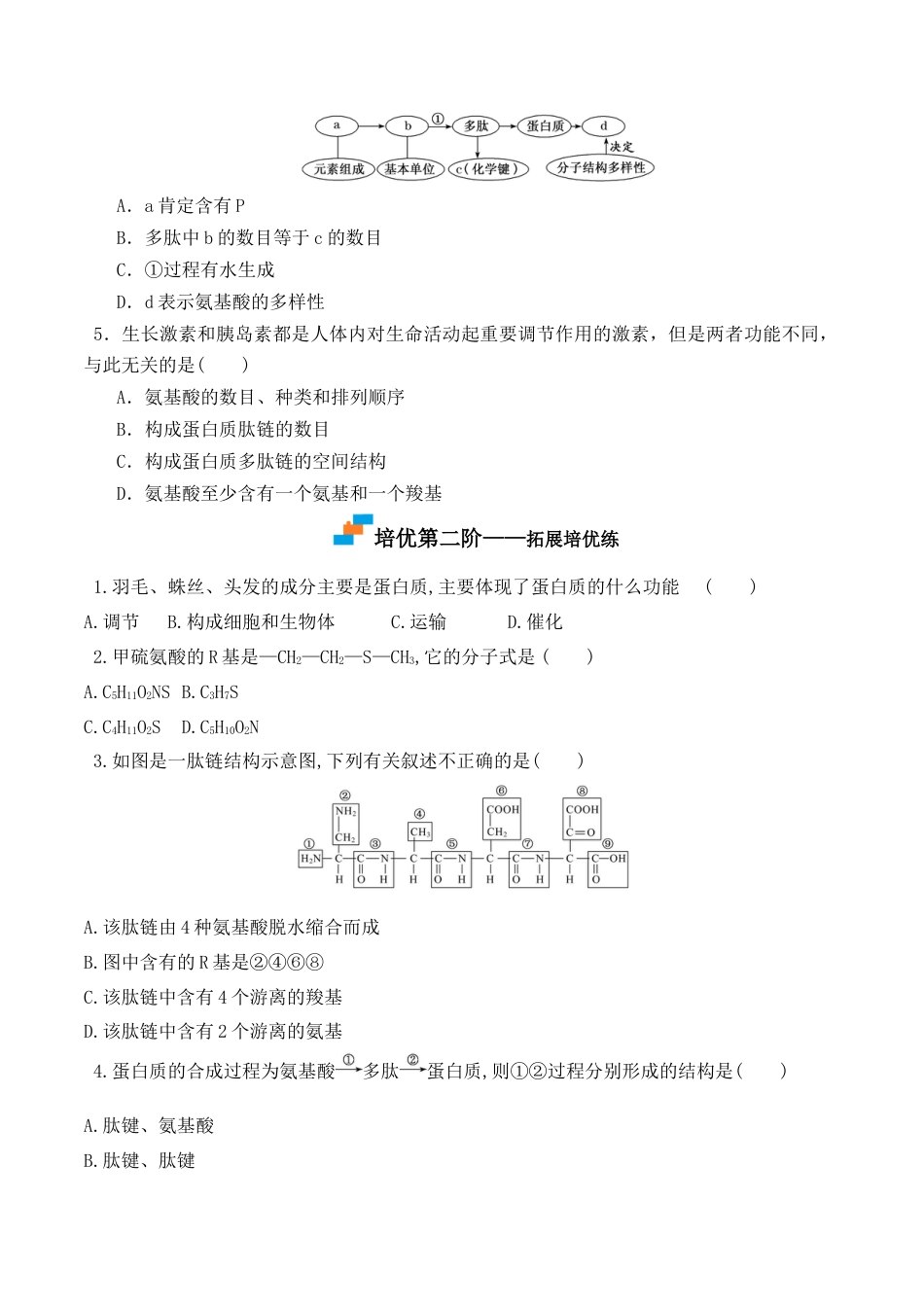 高中生物必修1 2.4 蛋白质是生命活动的主要承担者- 2022-2023学年高一生物上学期课后培优分级练（2019人教版必修1）（原卷版）.docx