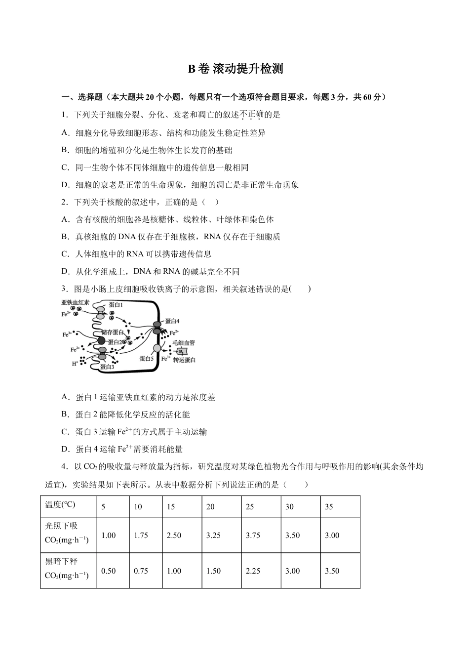 高中生物必修1 2019人教版必修1期末（B卷 滚动提升检测）-2021年高考生物一轮复习单元滚动双测卷（新高考地区专用）（原卷版）.doc