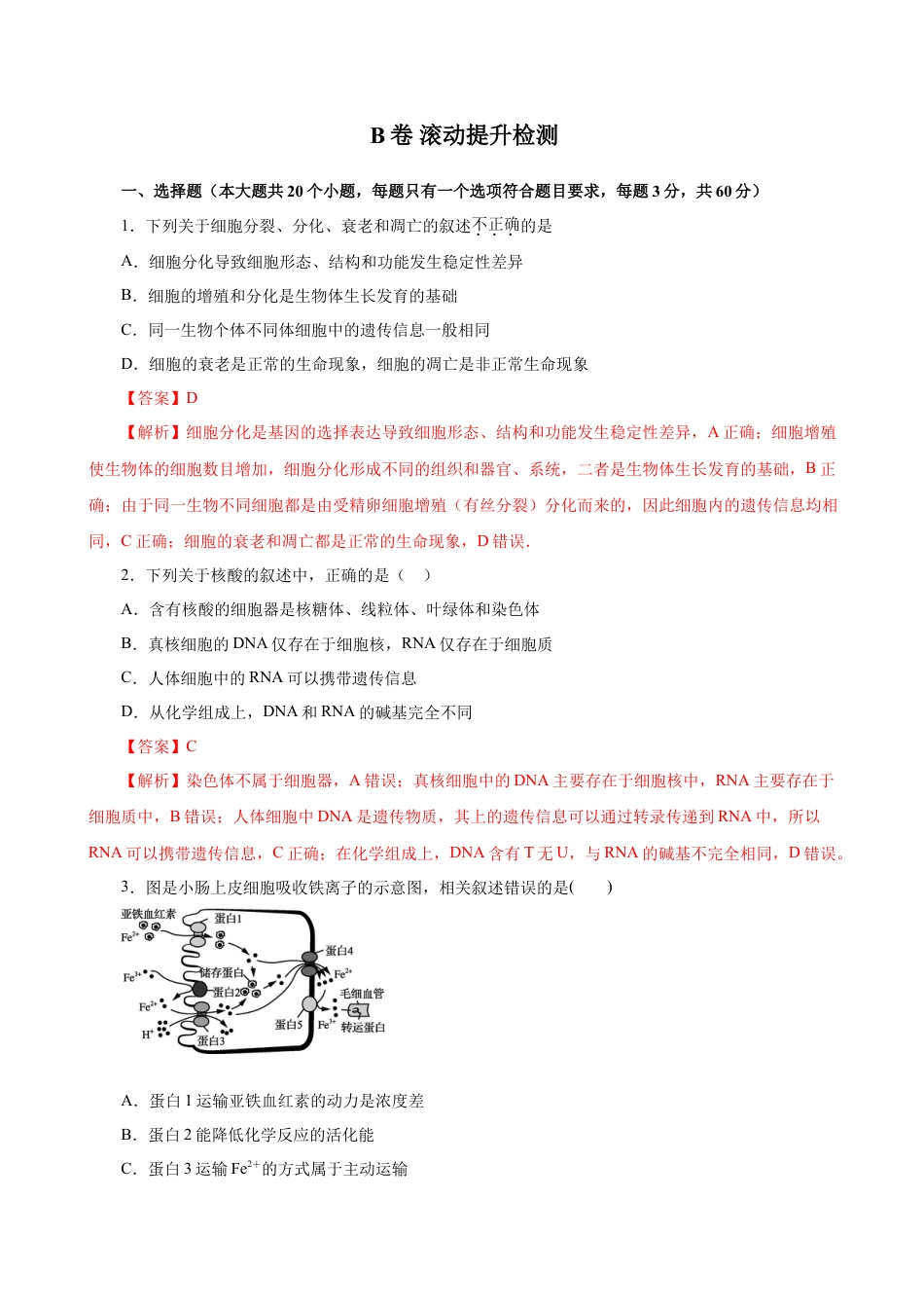 高中生物必修1 2019人教版必修1期末（B卷 滚动提升检测）-2021年高考生物一轮复习单元滚动双测卷（新高考地区专用）（解析版）.doc