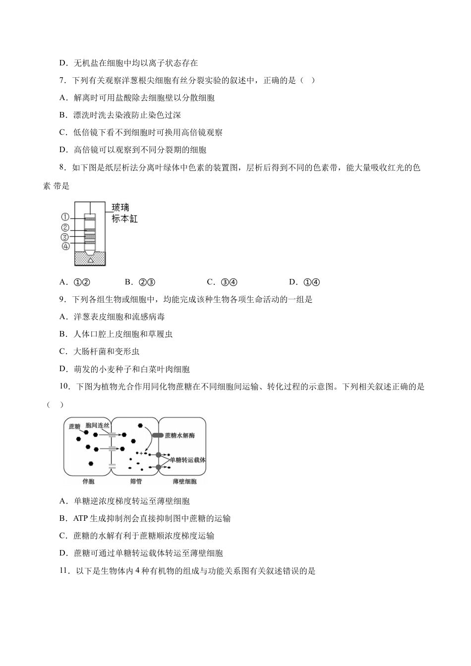 高中生物必修1 人教版必修1期末（A卷 基础过关检测）-高考生物一轮复习单元滚动双测卷（新高考地区专用）（原卷版）.doc