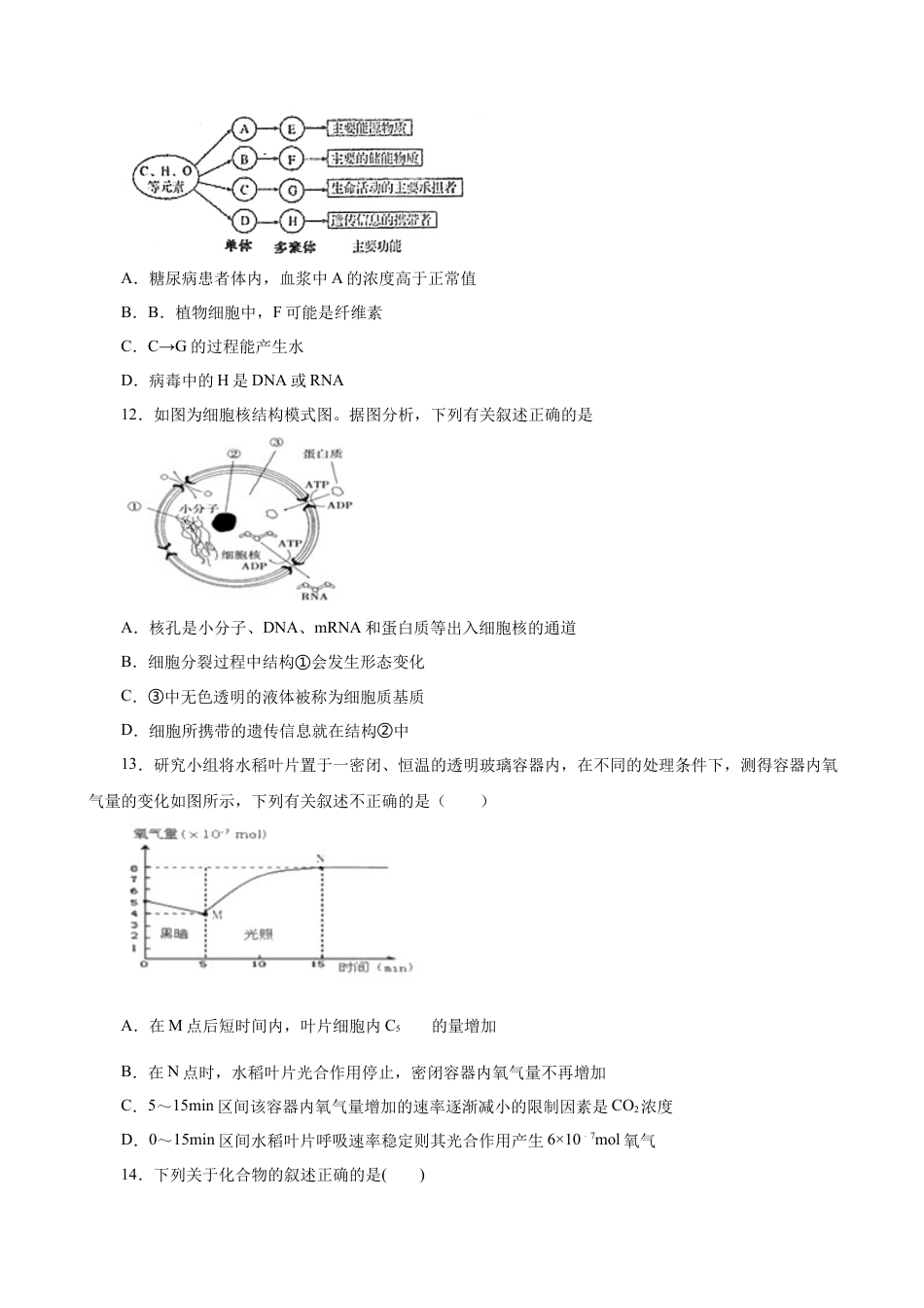 高中生物必修1 人教版必修1期末（A卷 基础过关检测）-高考生物一轮复习单元滚动双测卷（新高考地区专用）（原卷版）.doc
