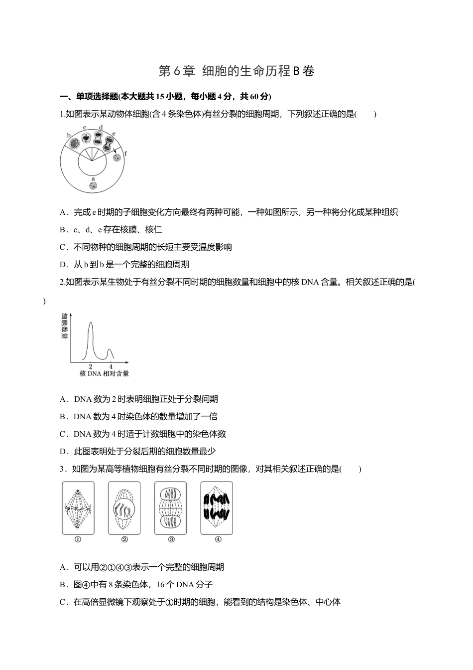 高中生物必修1 第6章 细胞的生命历程B卷（原卷版）.doc
