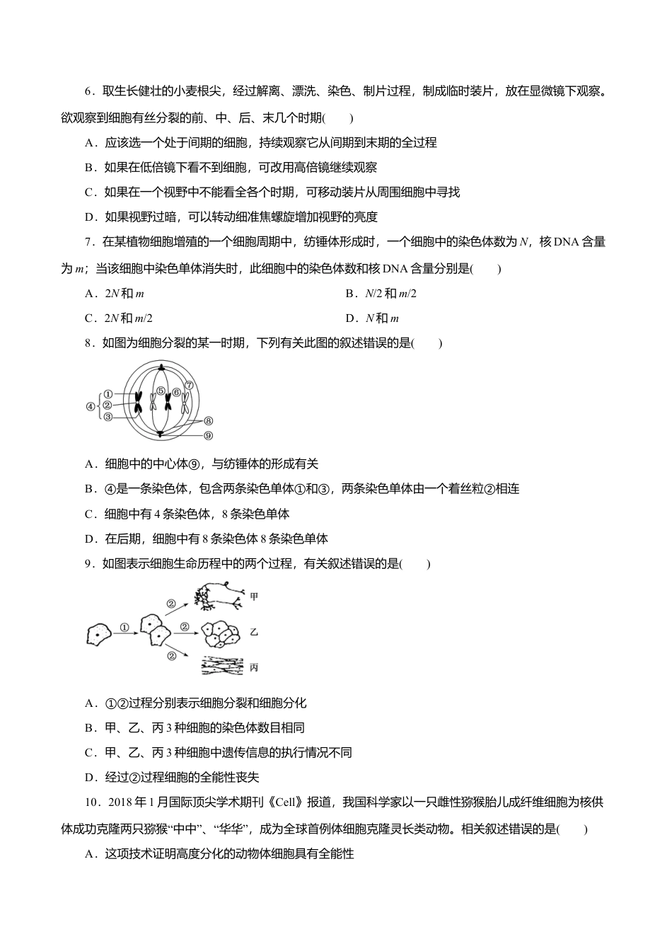 高中生物必修1 第6章 细胞的生命历程A卷（原卷版）.doc