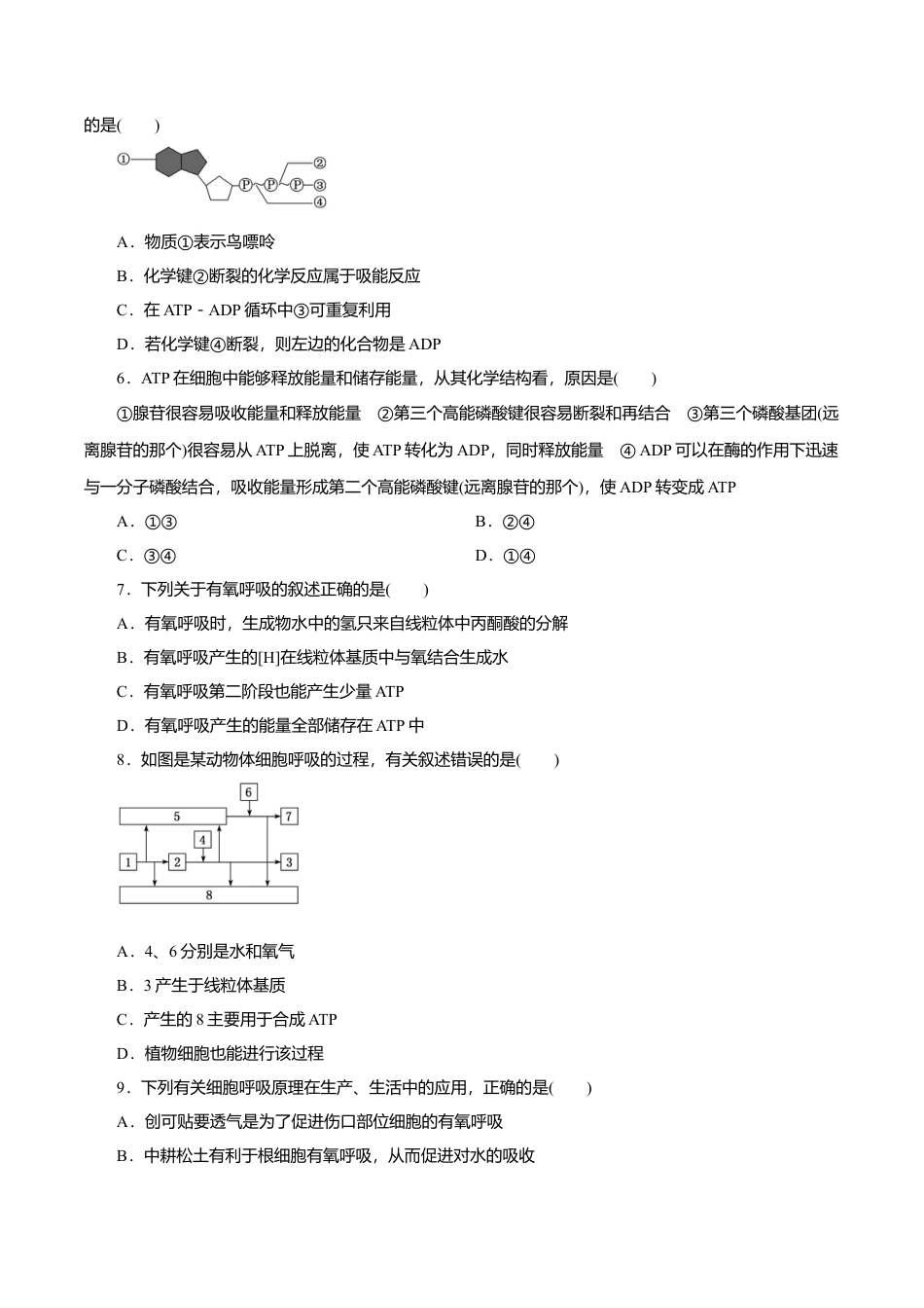高中生物必修1 第5章 细胞的能量供应和利用A卷（原卷版）.doc