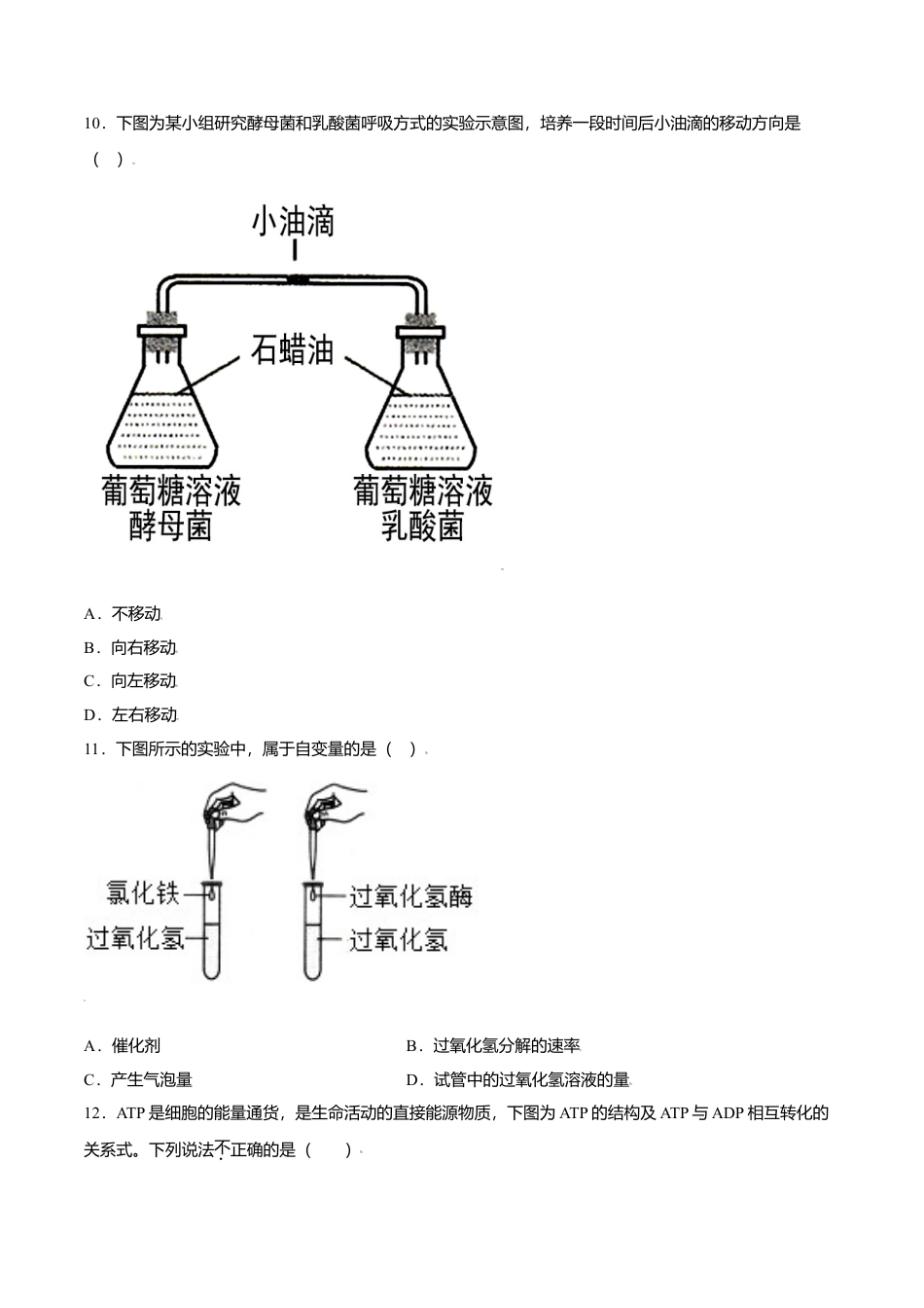 高中生物必修1 第五章  章末测试-高一生物课后培优练（人教版2019必修1）（原卷版）.doc