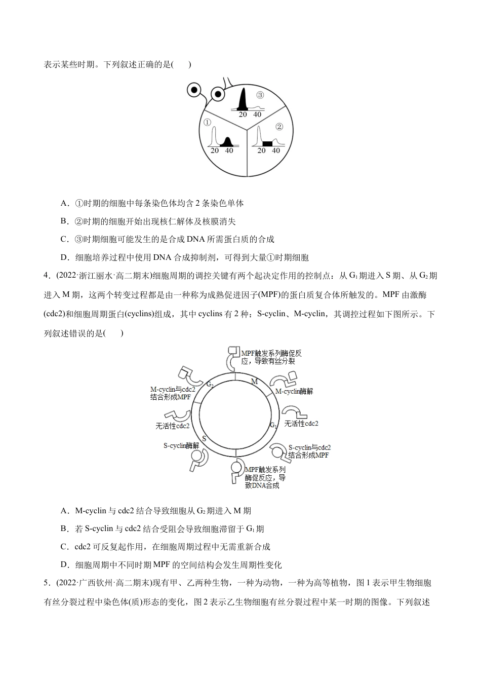 高中生物必修1 第6章  细胞的生命历程（B卷·能力提升练）（原卷版） .docx