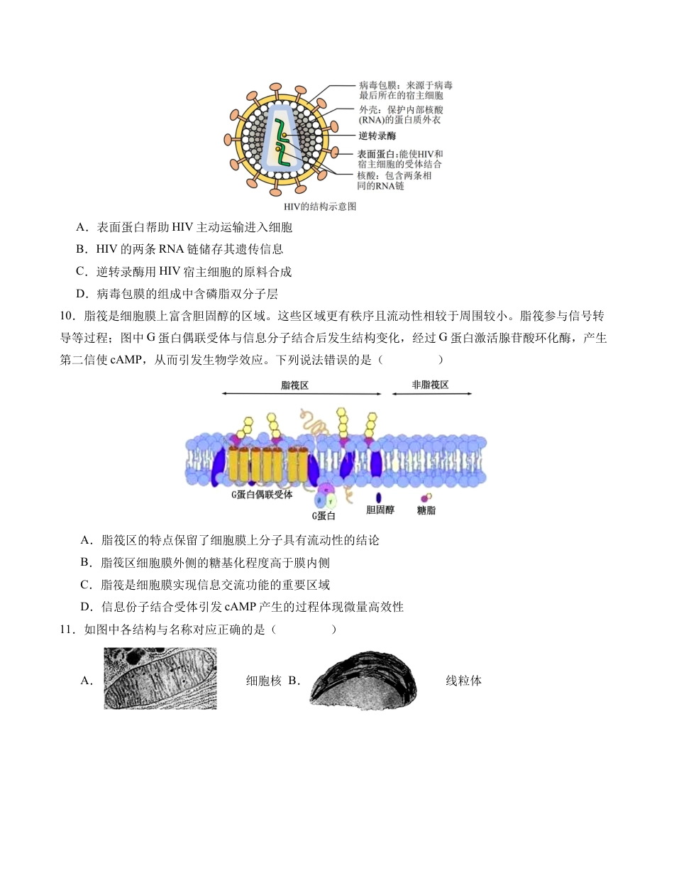 高中生物必修1 期末模拟卷02（考试版A4版）【测试范围：人教版2019必修1】.docx