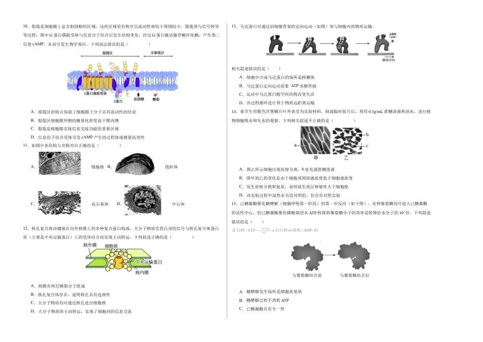 高中生物必修1 期末模拟卷02（考试版A3版）【测试范围：人教版2019必修1】.docx