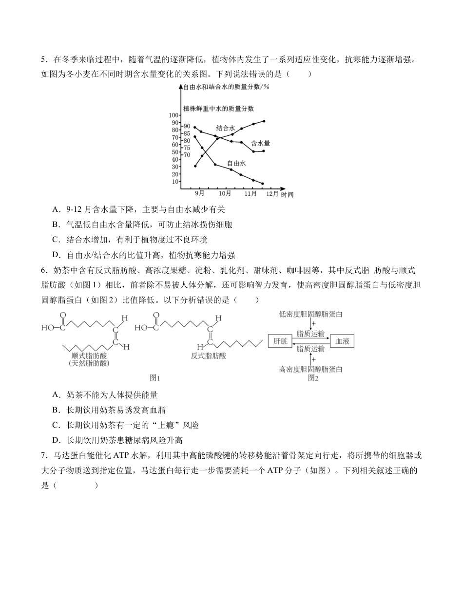 高中生物必修1 期末模拟卷01（考试版A4版）【测试范围：人教版2019必修1】.docx