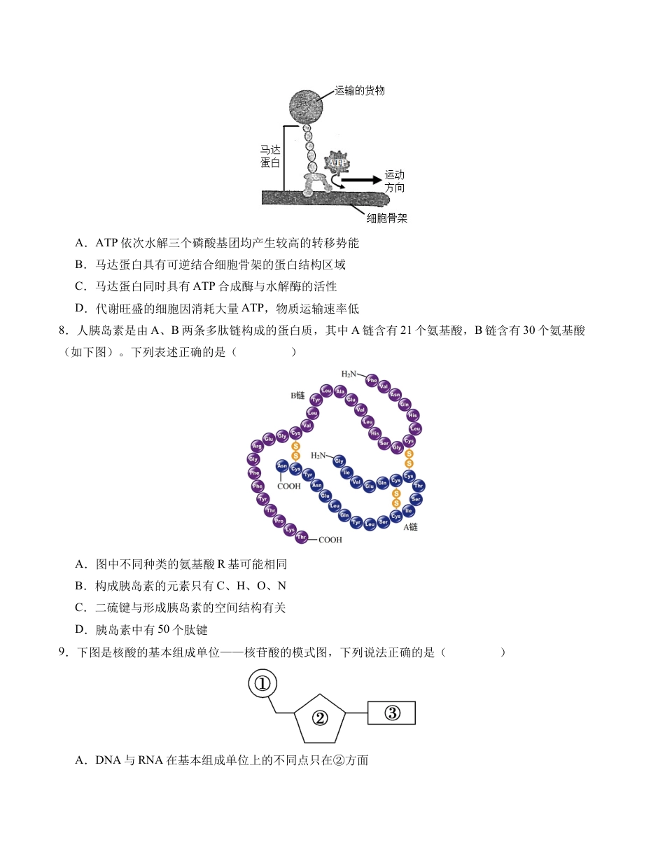 高中生物必修1 期末模拟卷01（考试版A4版）【测试范围：人教版2019必修1】.docx