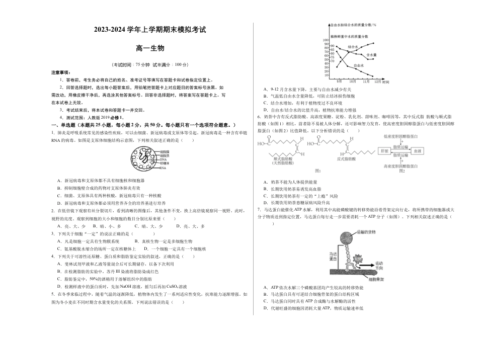 高中生物必修1 期末模拟卷01（考试版A3版）【测试范围：人教版2019必修1】.docx