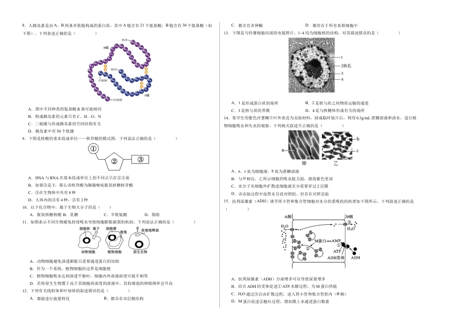 高中生物必修1 期末模拟卷01（考试版A3版）【测试范围：人教版2019必修1】.docx