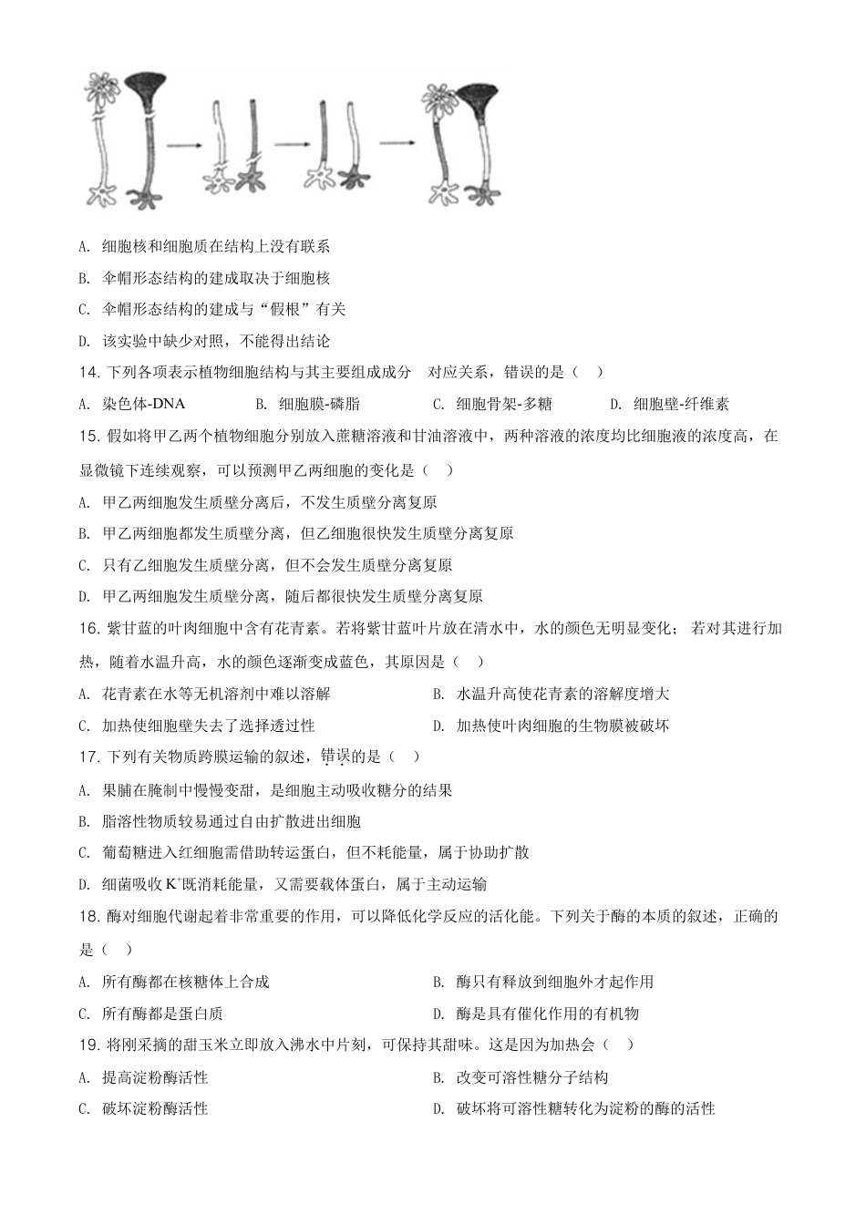 高中生物必修1 精品解析：天津市东丽区高一上学期期末生物试题（原卷版）.doc