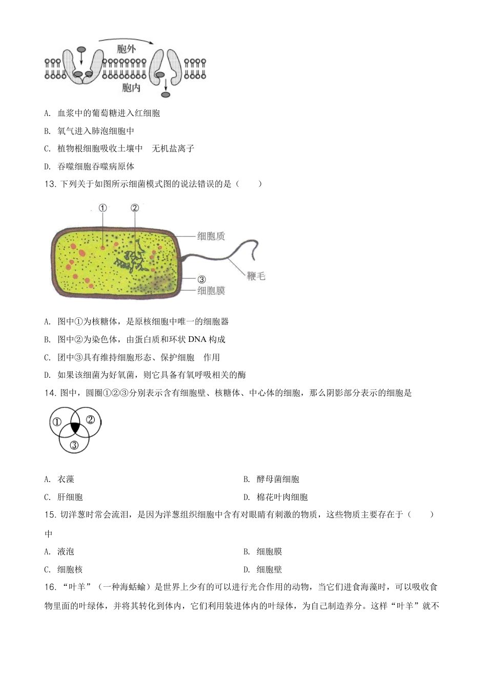 高中生物必修1 精品解析：江苏省南京市南京师大附中高一上学期期末生物试题（原卷版）.doc