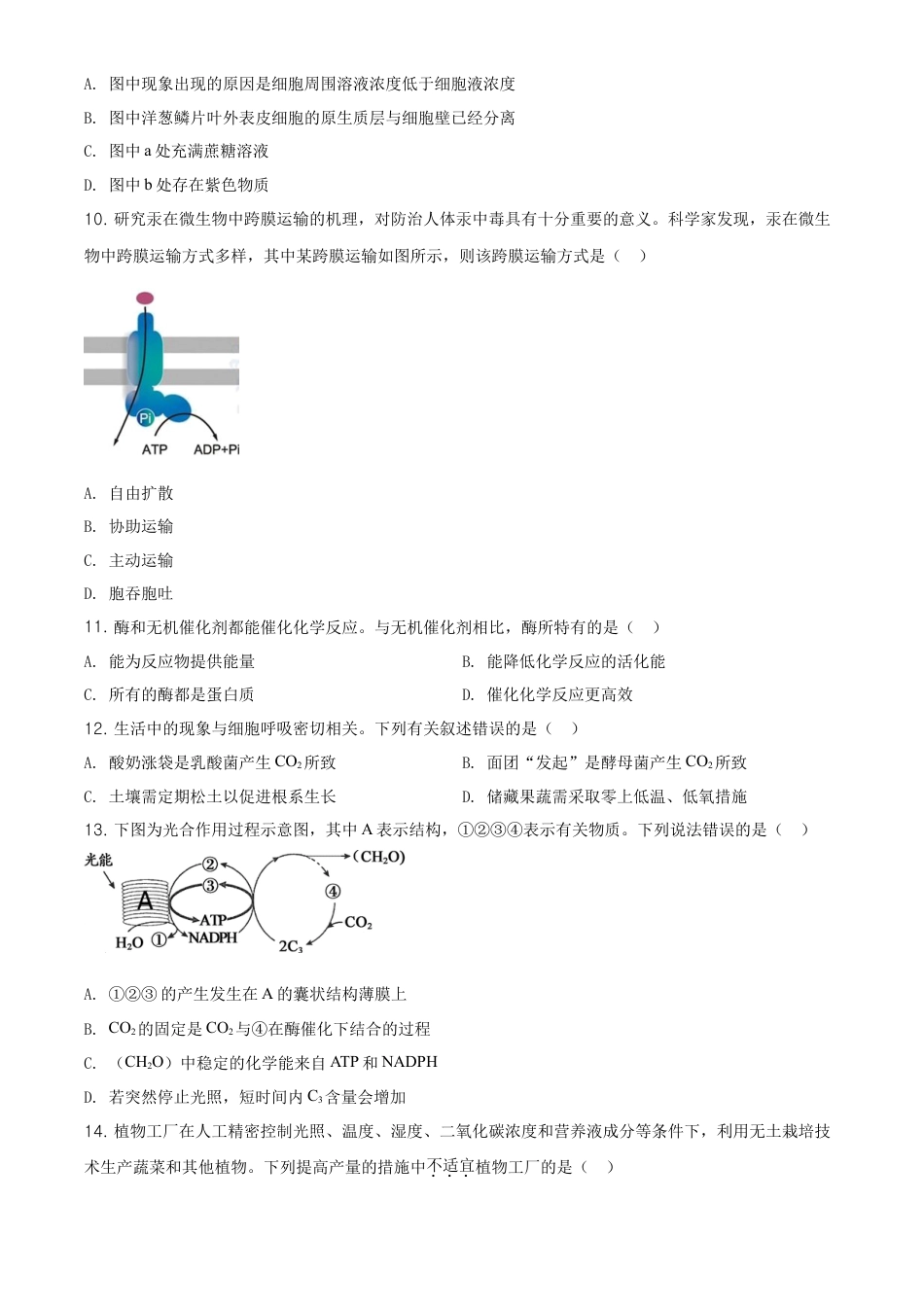 高中生物必修1 精品解析：北京市朝阳区高一上学期期末质量检测生物试题（原卷版）.doc