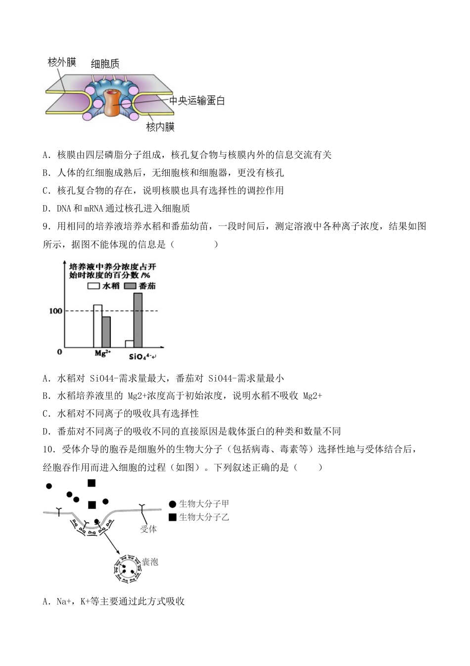 高中生物必修1 综合拉练卷04（原卷版）.docx