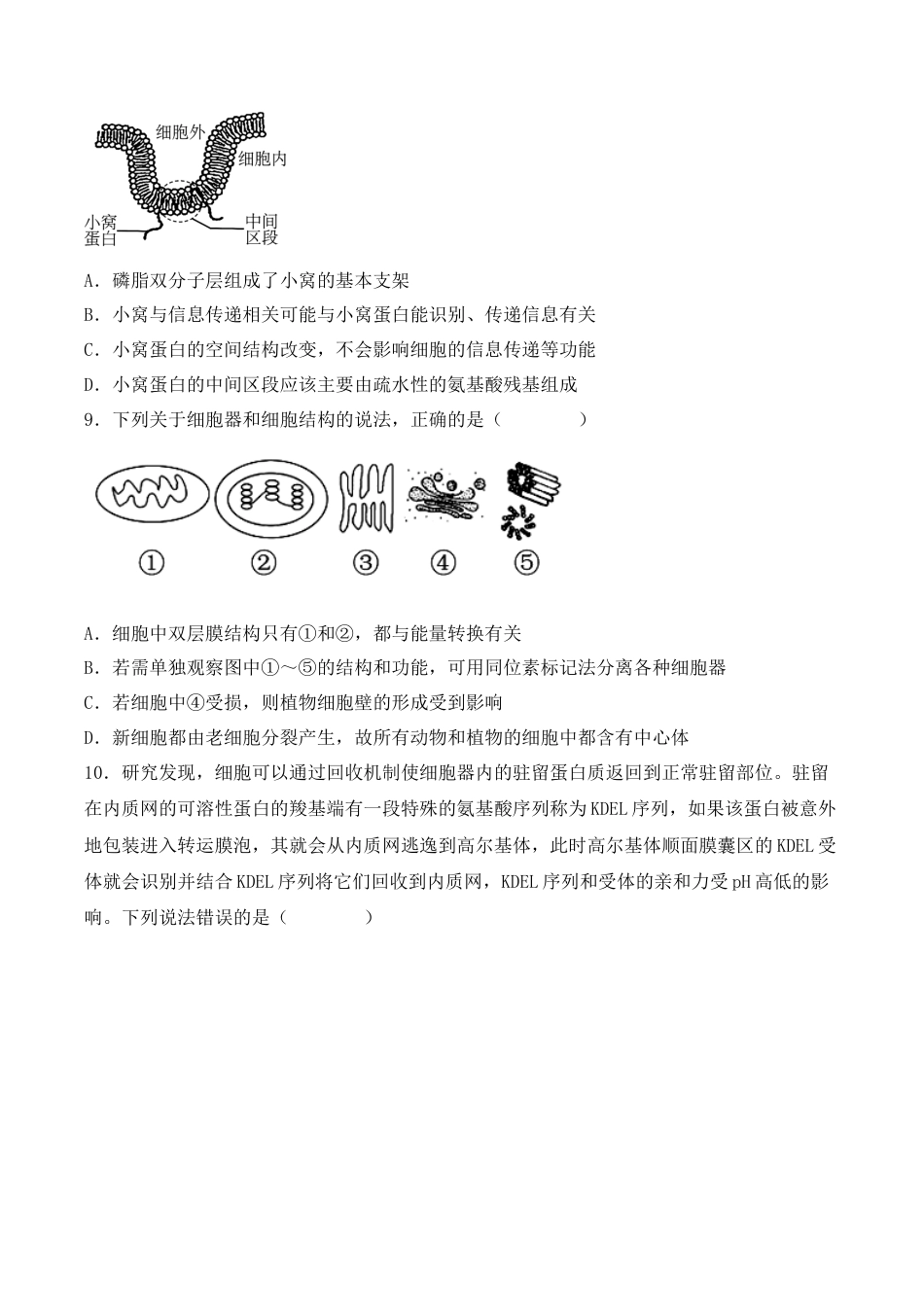 高中生物必修1 综合拉练卷03（原卷版）.docx