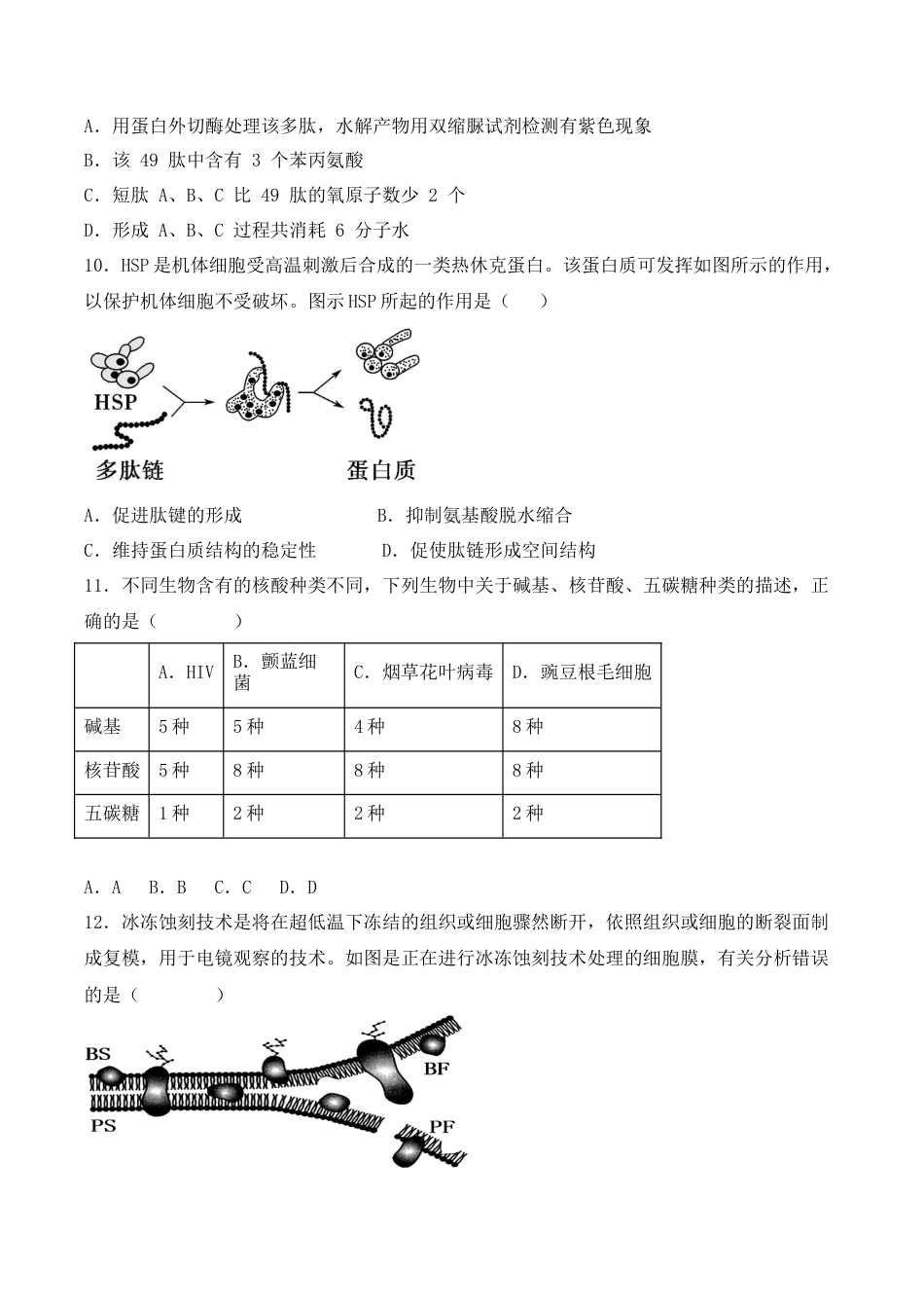 高中生物必修1 综合拉练卷02（原卷版）.docx