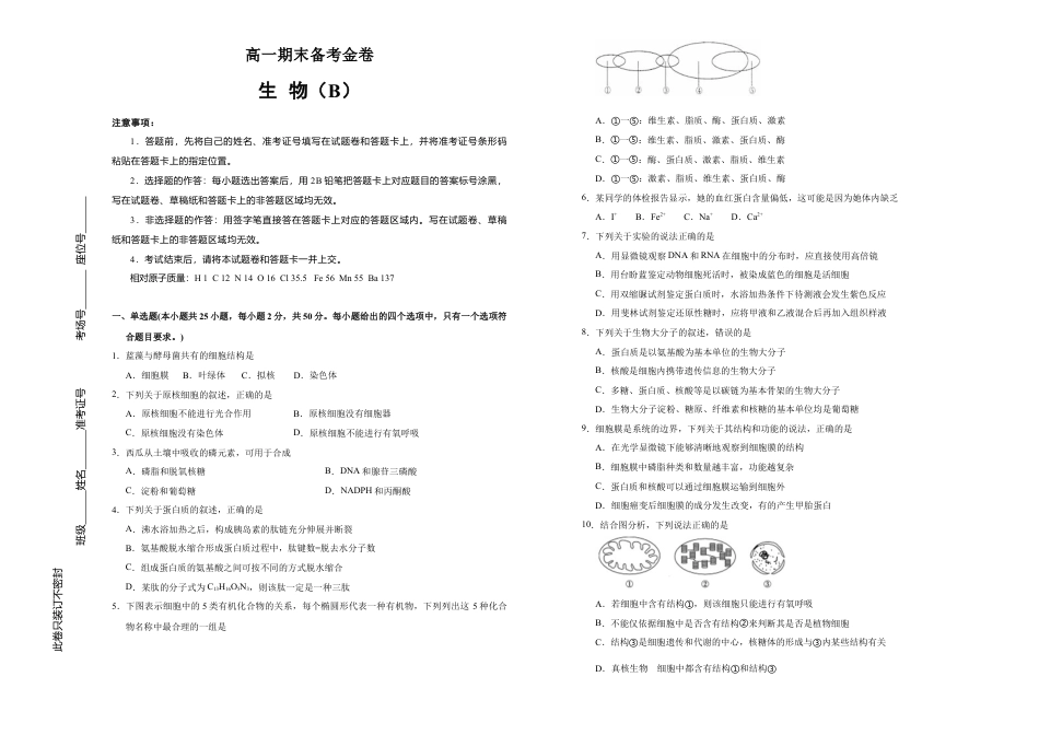 高中生物必修1 上学期高一期末备考金卷 生物（B卷）学生版.doc