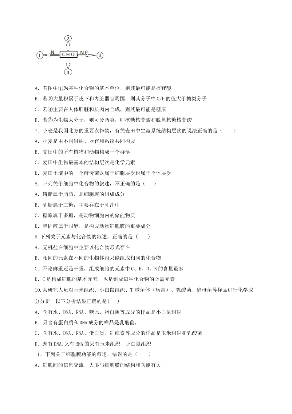 高中生物必修1 高一生物上学期期末测试卷01（人教版必修1）（原卷版）.docx