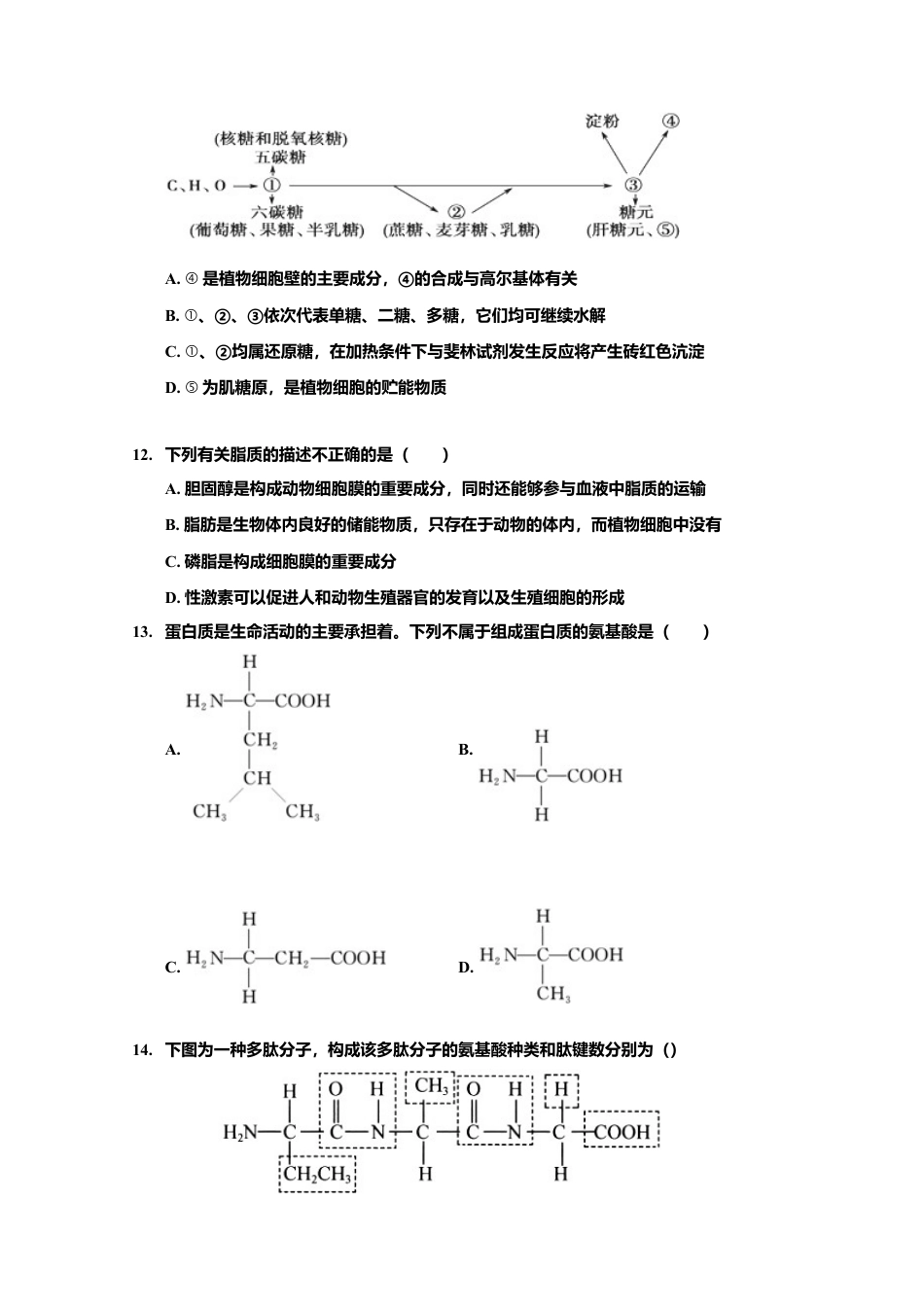 高中生物必修1 山东省淄博第一中学高一上学期期中模块考试生物试题.doc