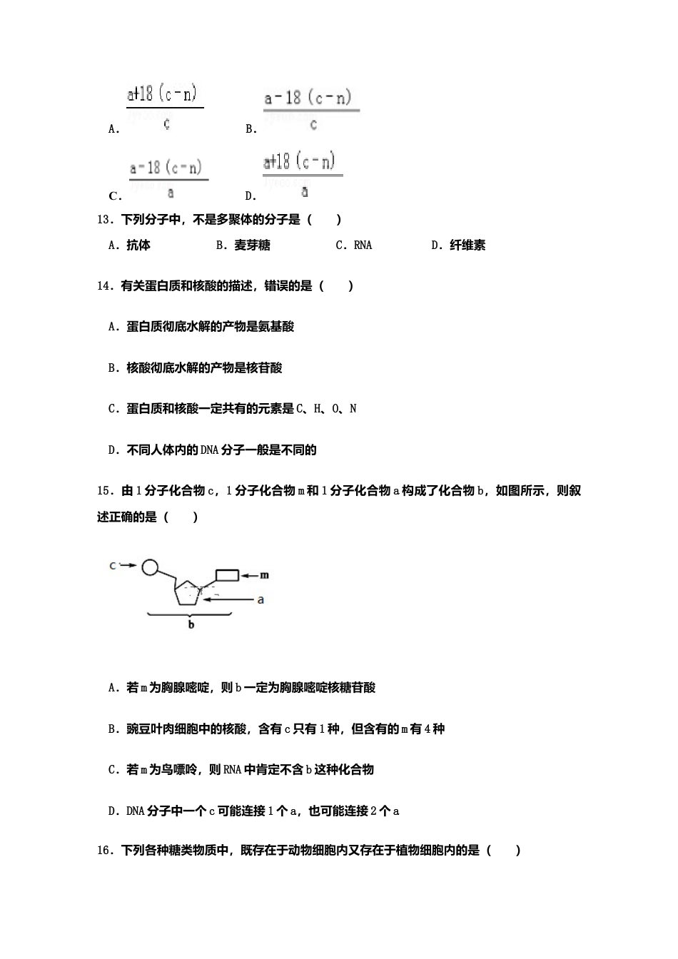高中生物必修1 山东省新泰市第二中学高一上学期期中考试生物试题.doc