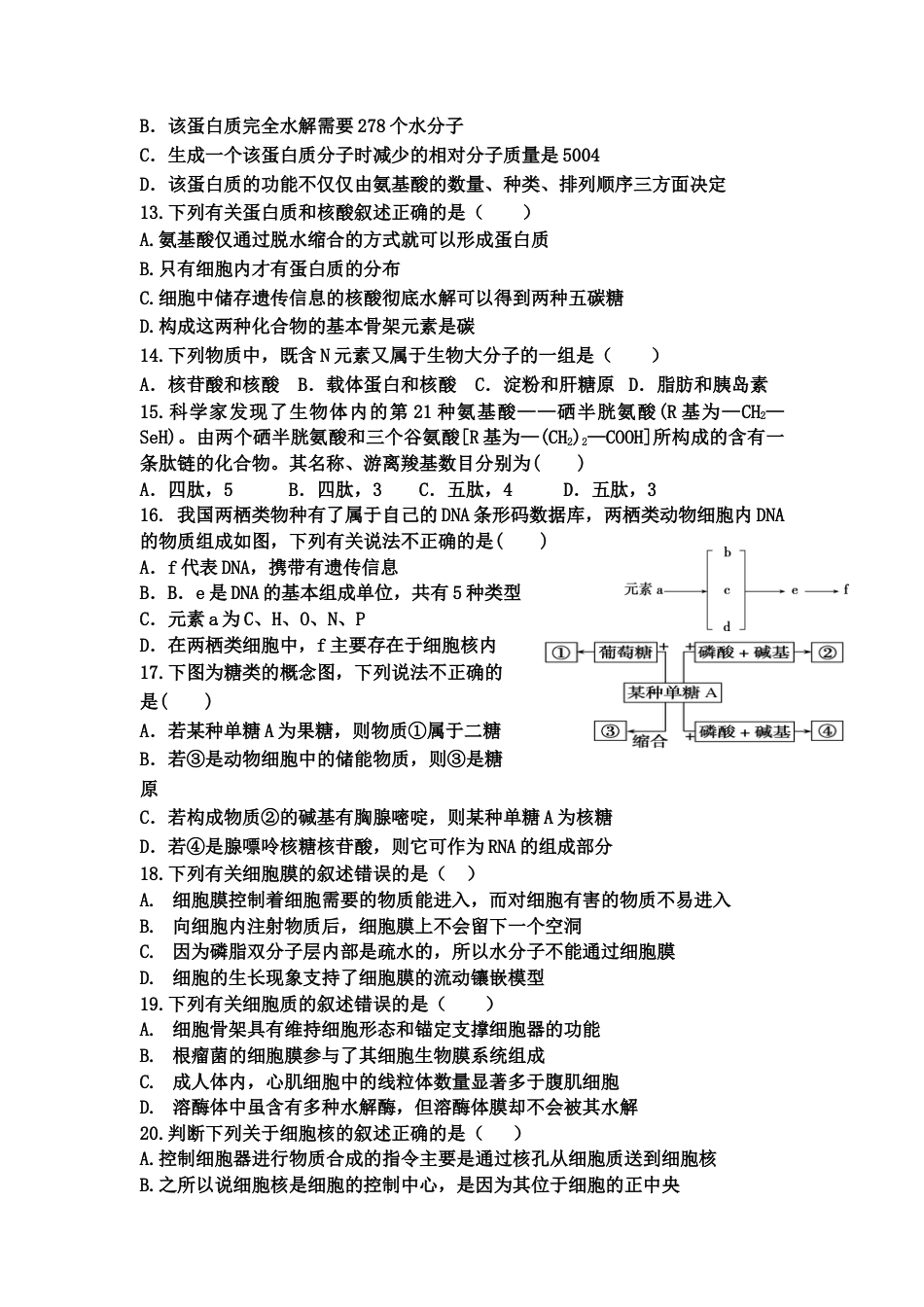 高中生物必修1 山东省宁阳一中高一上学期期中考试  生物.doc