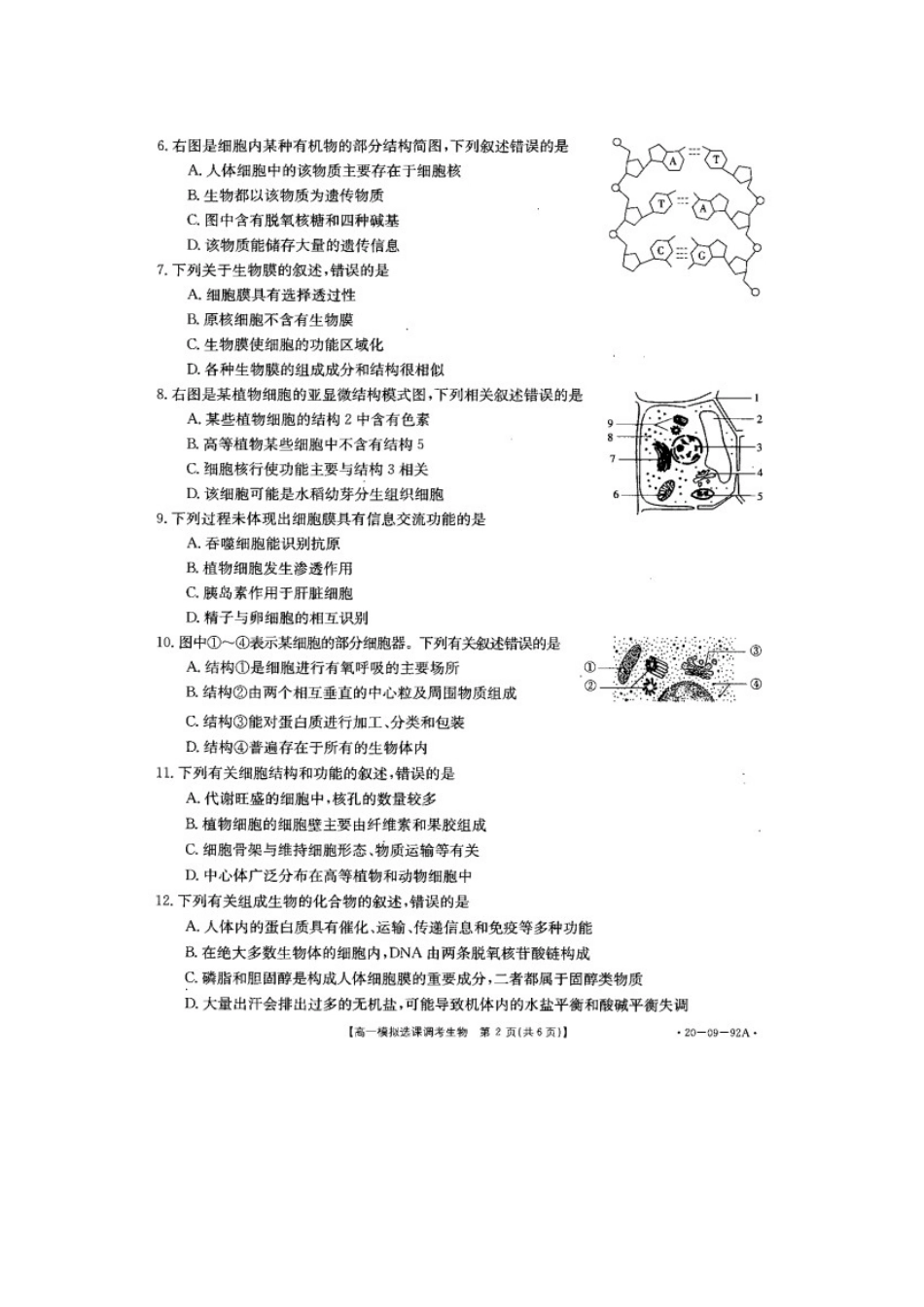 高中生物必修1 山东省济南市历城第二中学高一上学期模拟选课调考（期中）生物试题 PDF版.doc