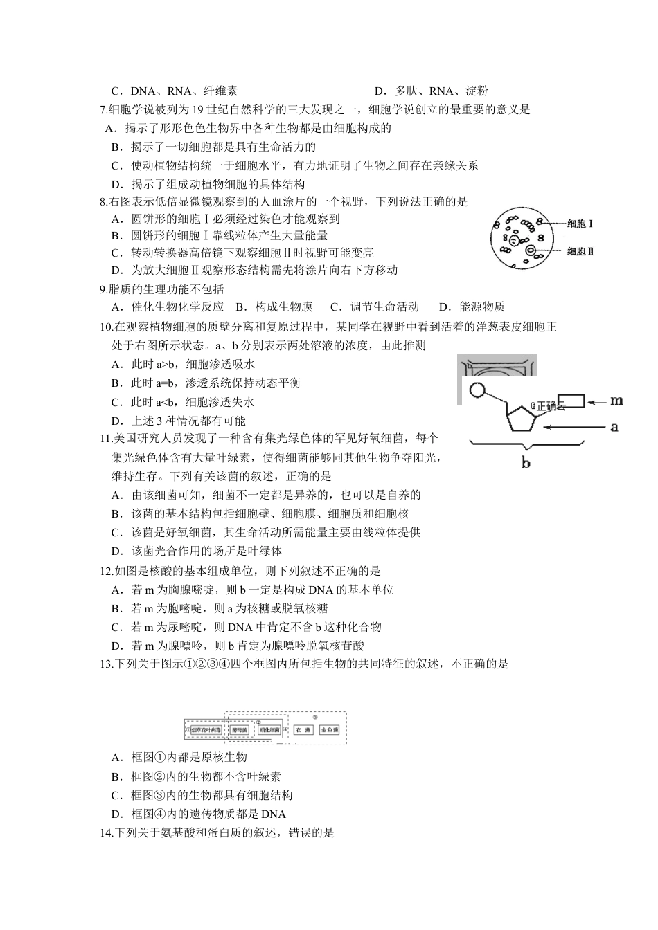 高中生物必修1 辽宁省实验中学高一上学期期中考试生物试卷.doc