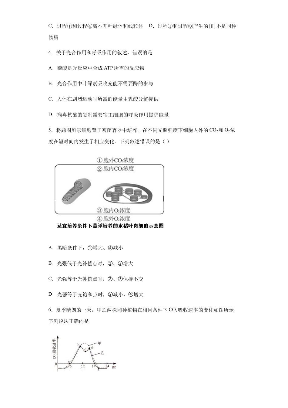 高中生物必修1 5.4.2 光合作用与能量转换 练习【新教材】人教版（2019）高中生物必修一.docx