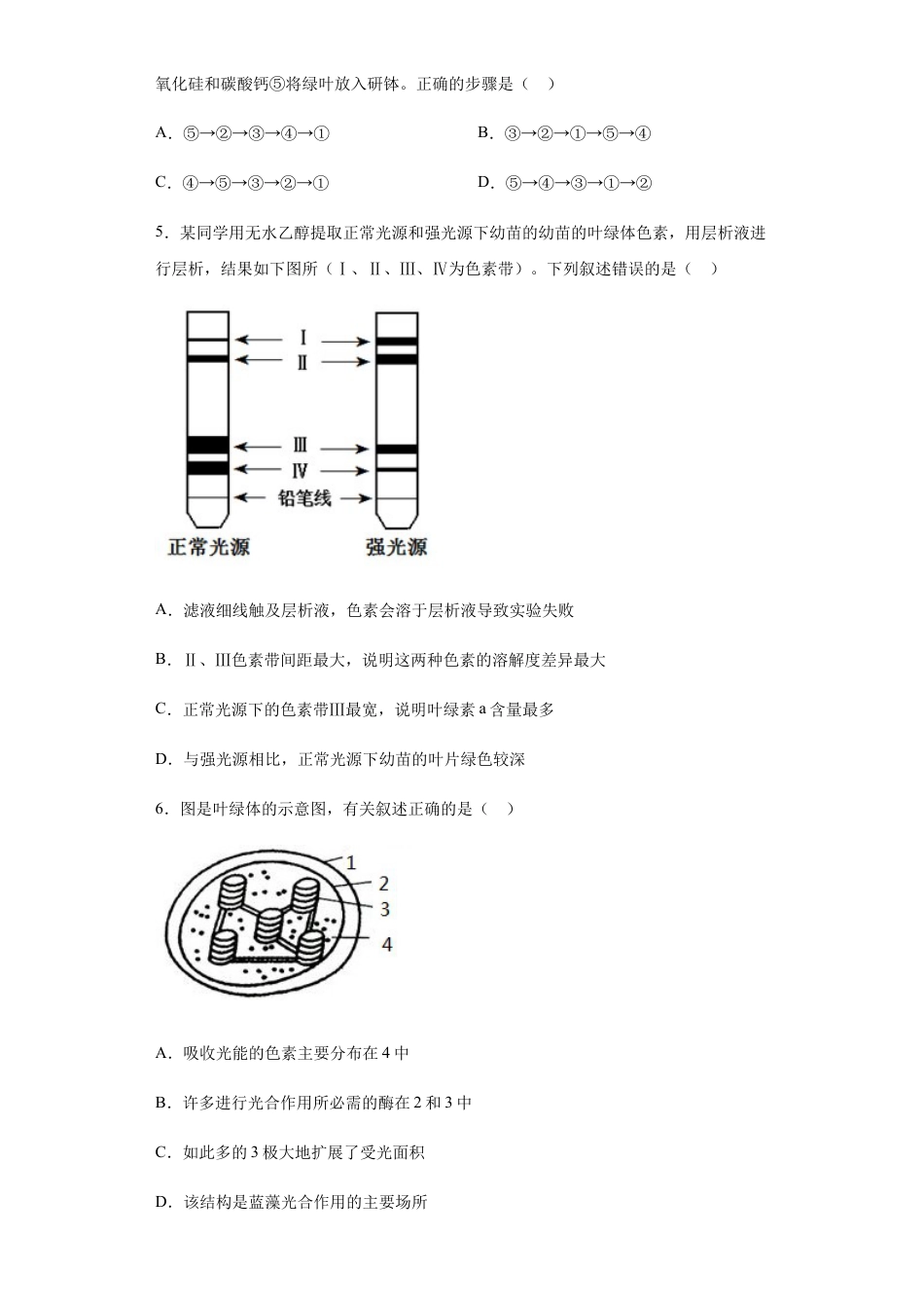 高中生物必修1 5.4.1 捕获光能的色素和结构 练习 【新教材】人教版（2019）高中生物必修一.docx