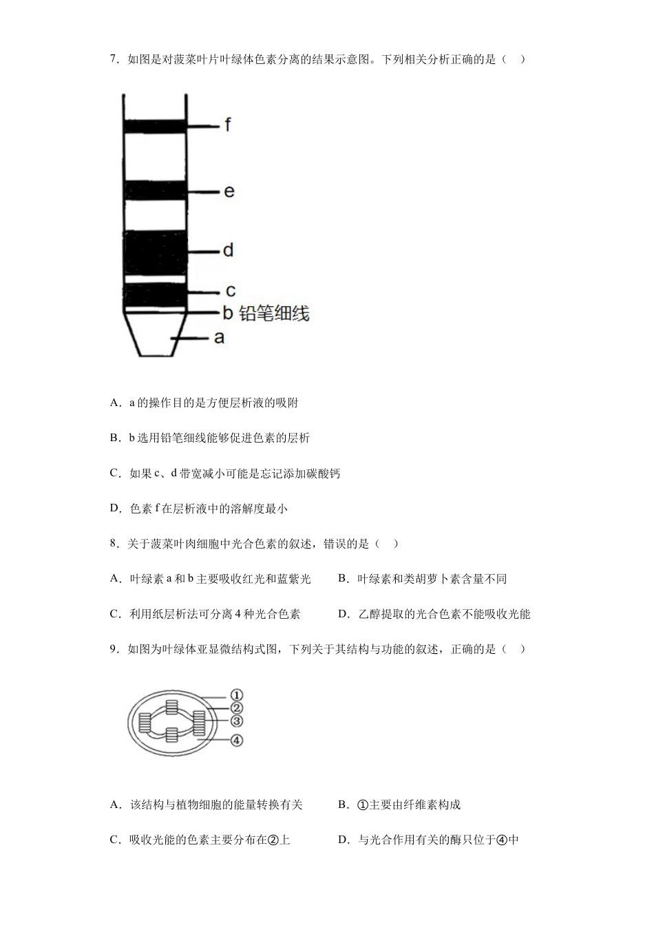 高中生物必修1 5.4.1 捕获光能的色素和结构 练习 【新教材】人教版（2019）高中生物必修一.docx