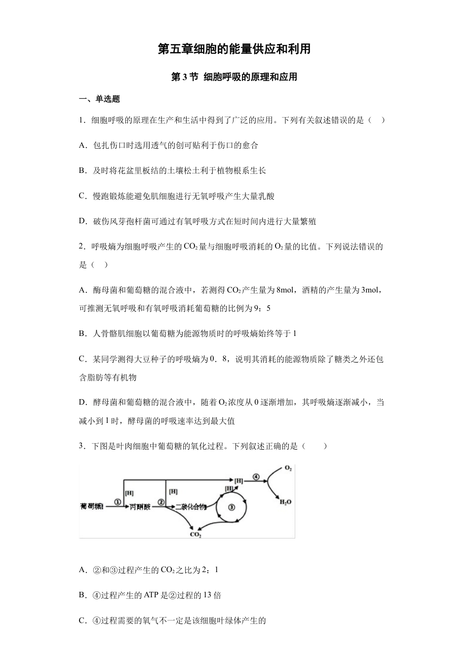 高中生物必修1 5.3 细胞呼吸的原理和应用 练习【新教材】人教版（2019）高中生物必修一.docx