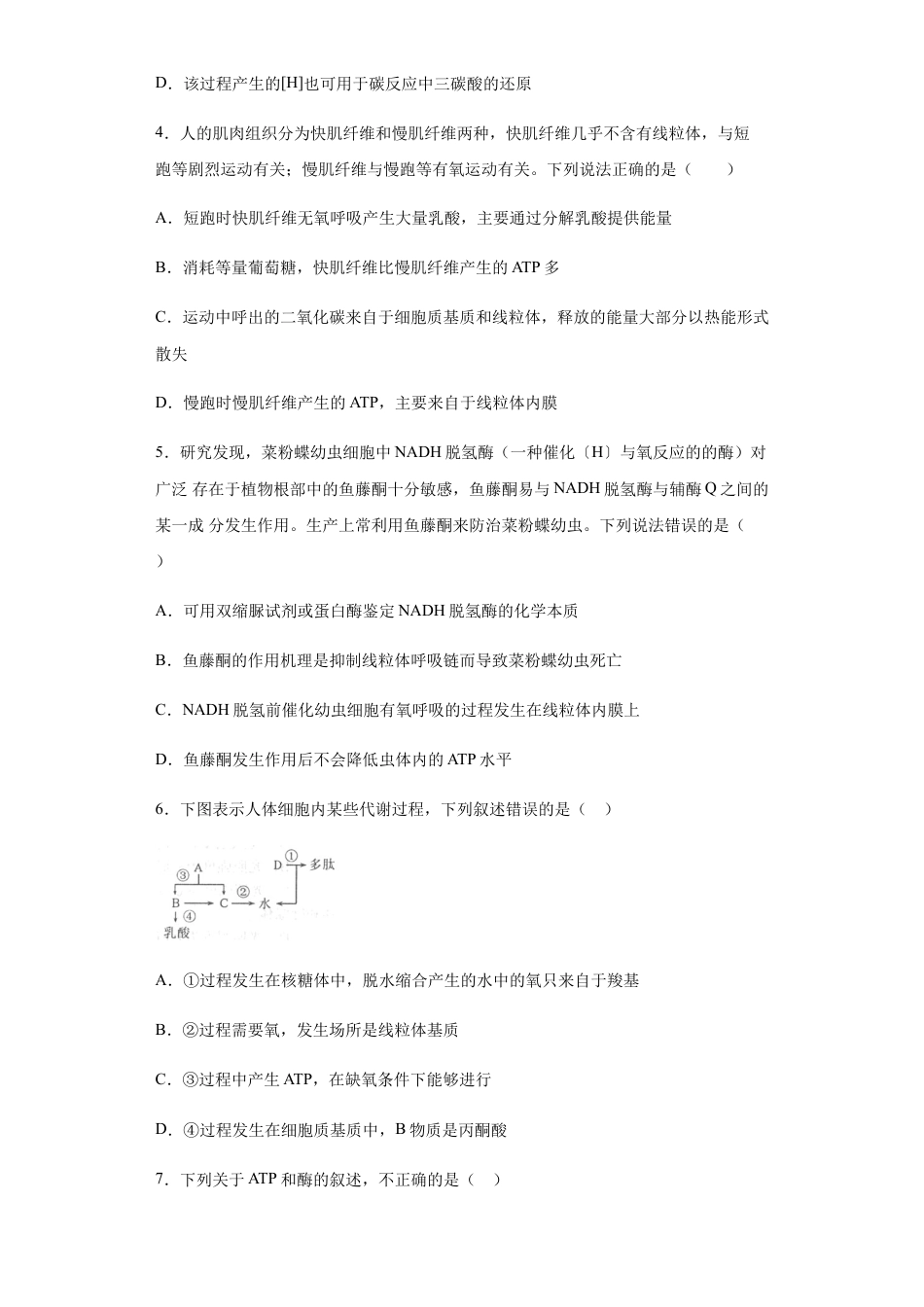 高中生物必修1 5.3 细胞呼吸的原理和应用 练习【新教材】人教版（2019）高中生物必修一.docx