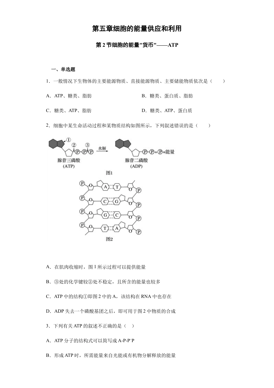 高中生物必修1 5.2 细胞的能量“货币”——ATP 练习 【新教材】人教版（2019）高中生物必修一.docx